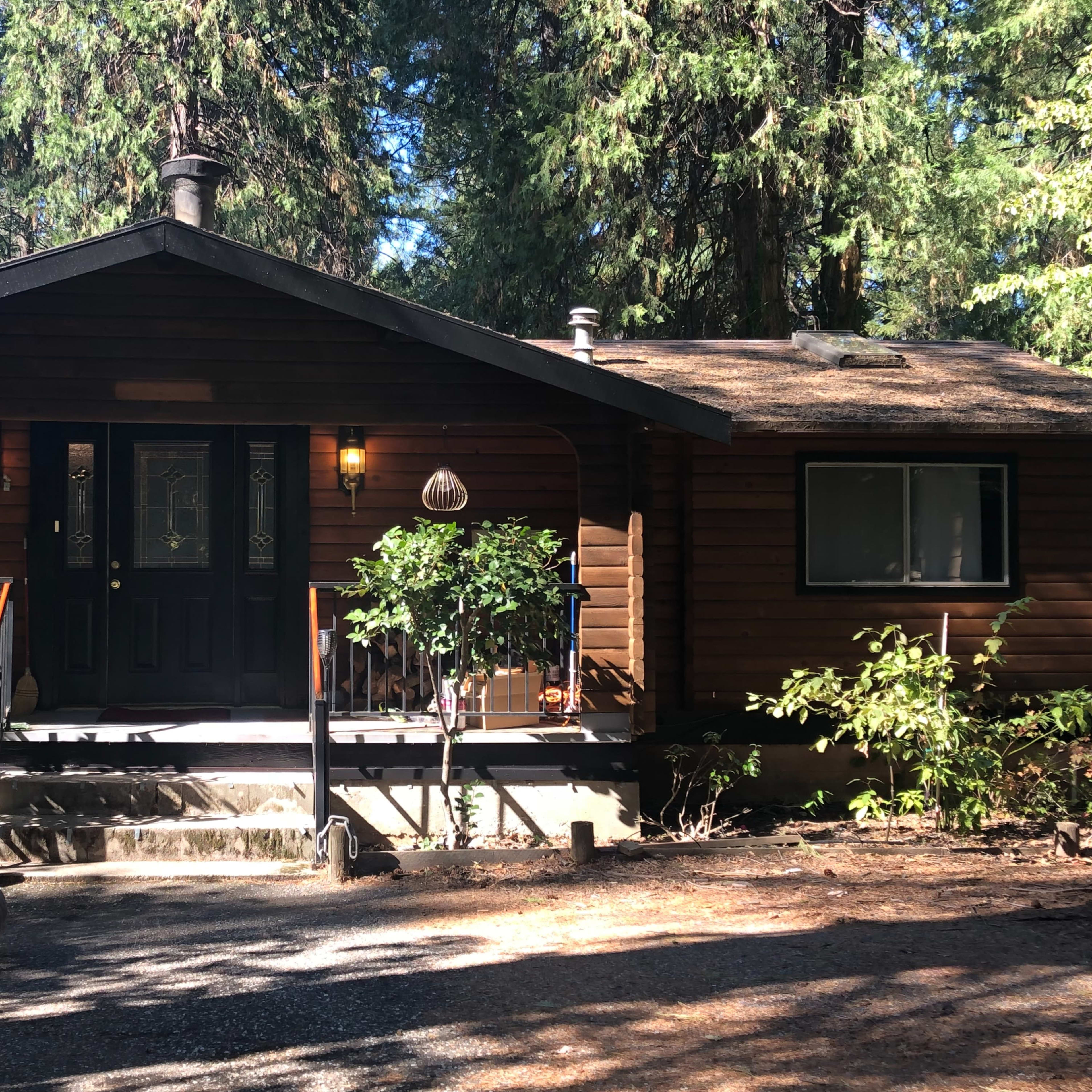A wooden cabin with a front porch is surrounded by tall trees and a gravel pathway.