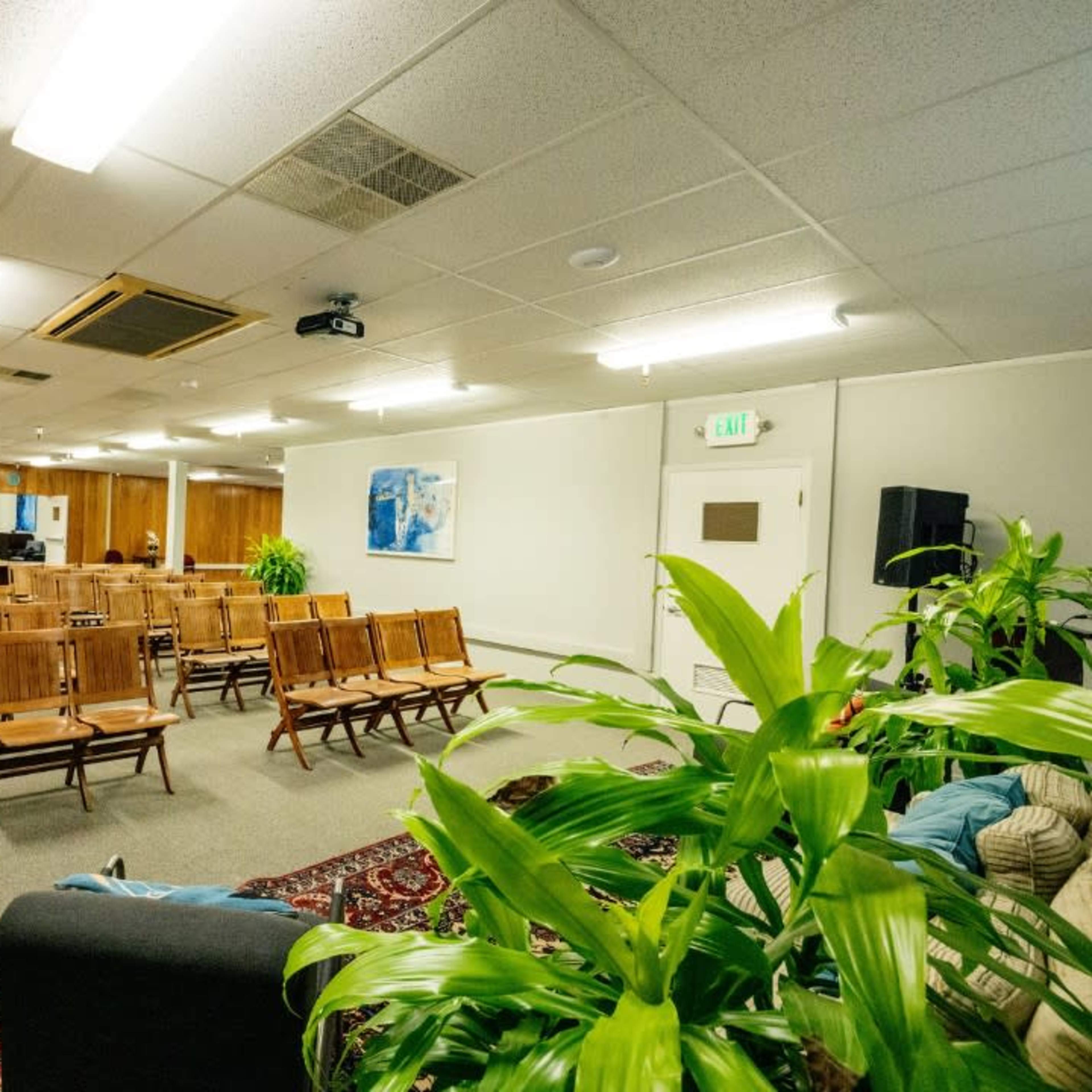 A sparsely furnished meeting room with wooden chairs arranged in rows and potted plants in the corners.