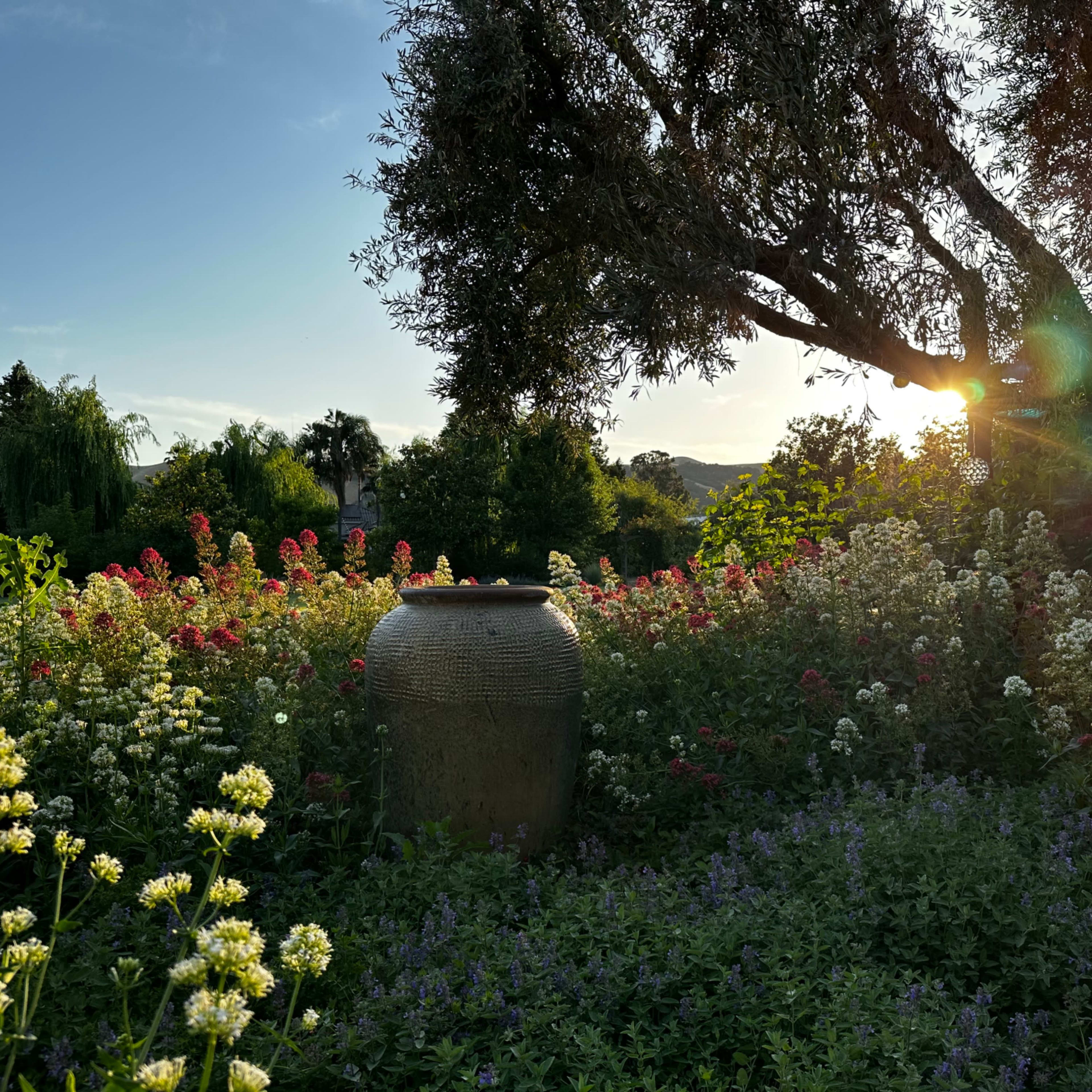 A large clay pot sits amid a garden filled with colorful flowers under a bright sky.