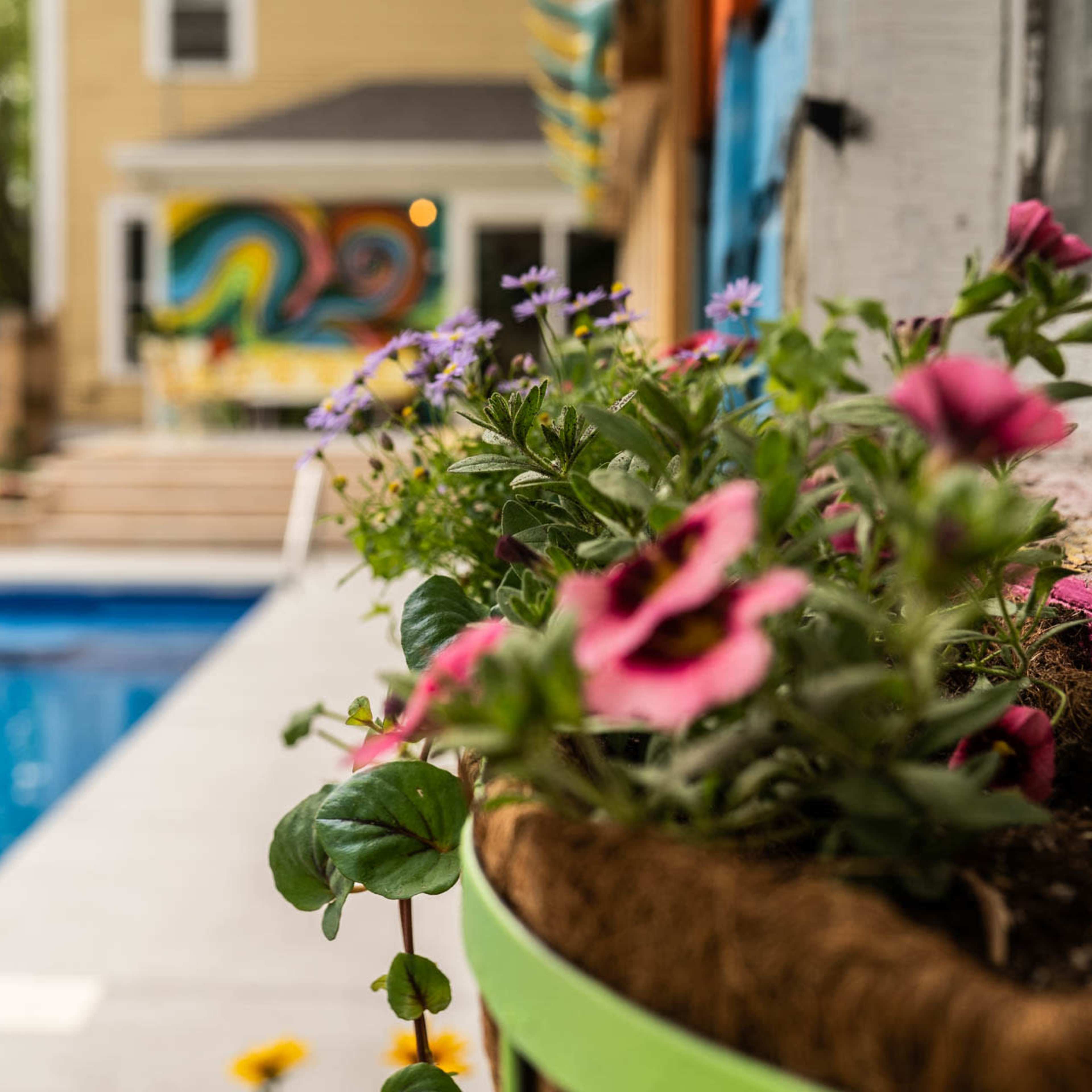 A vibrant garden with blooming flowers is positioned in the foreground, while a swimming pool and colorful mural are visible in the background of a residential backyard.