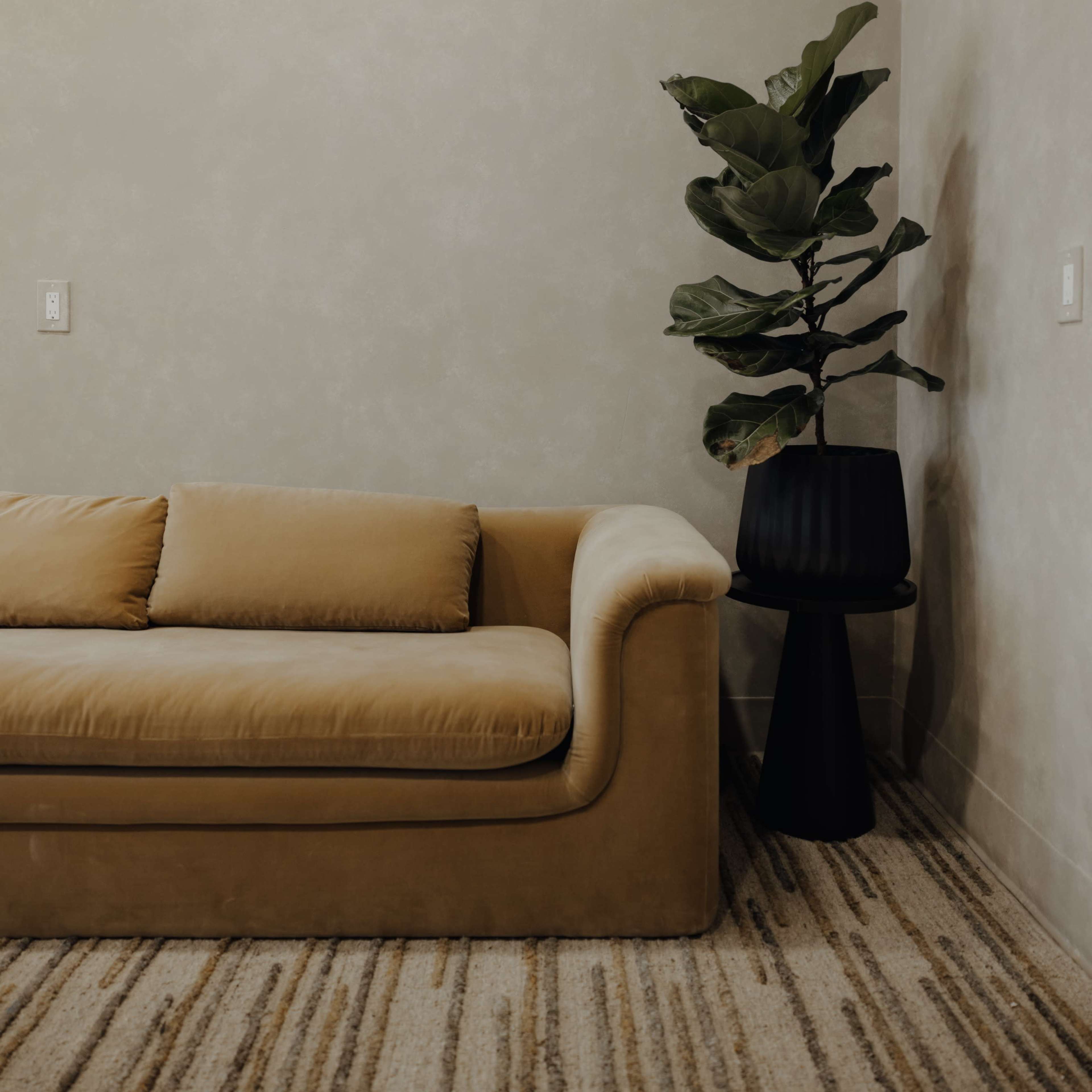 Neutral Organic Office Lounge Image in Whittier, Whittier, CA