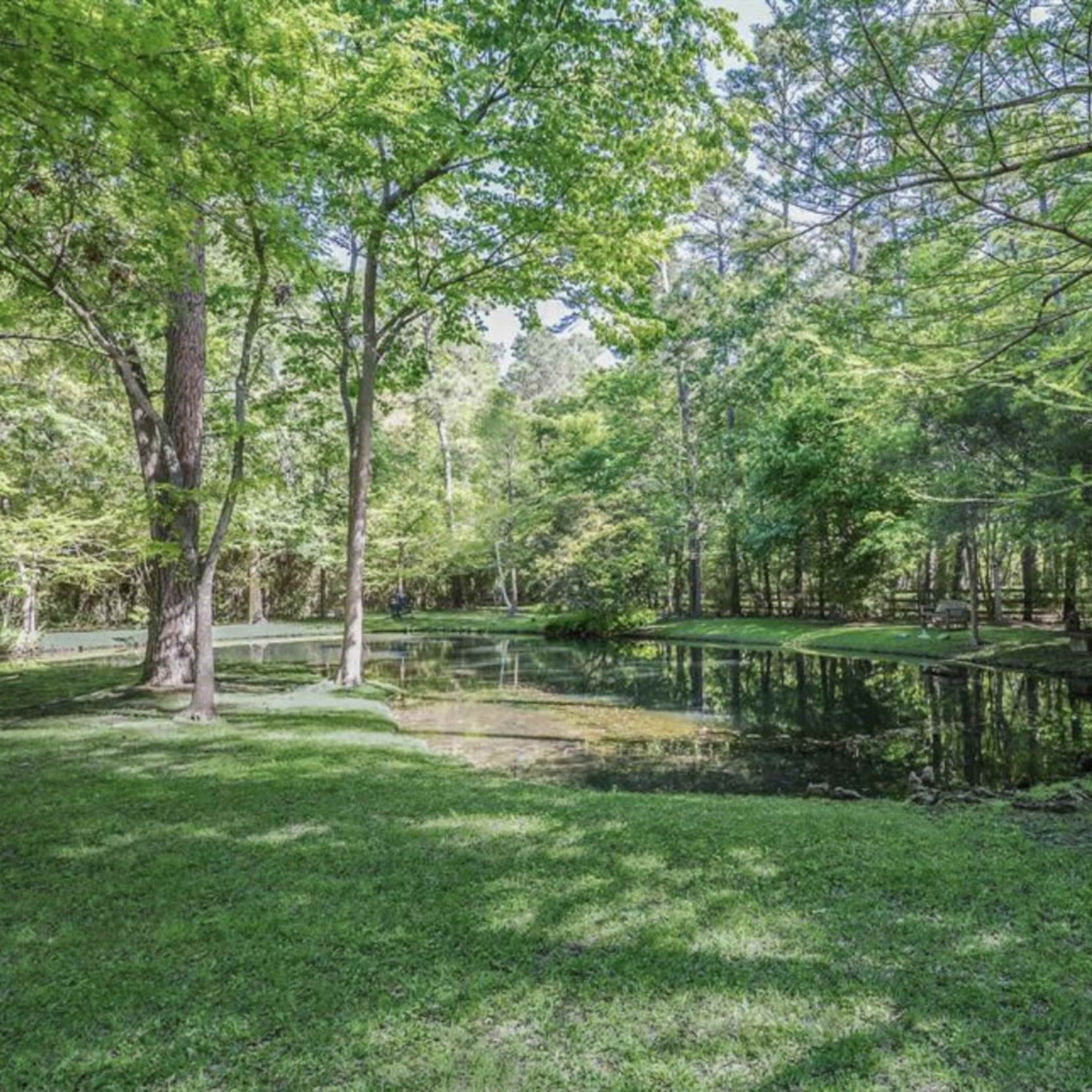 A serene park scene features a clear pond surrounded by lush green trees and grass.