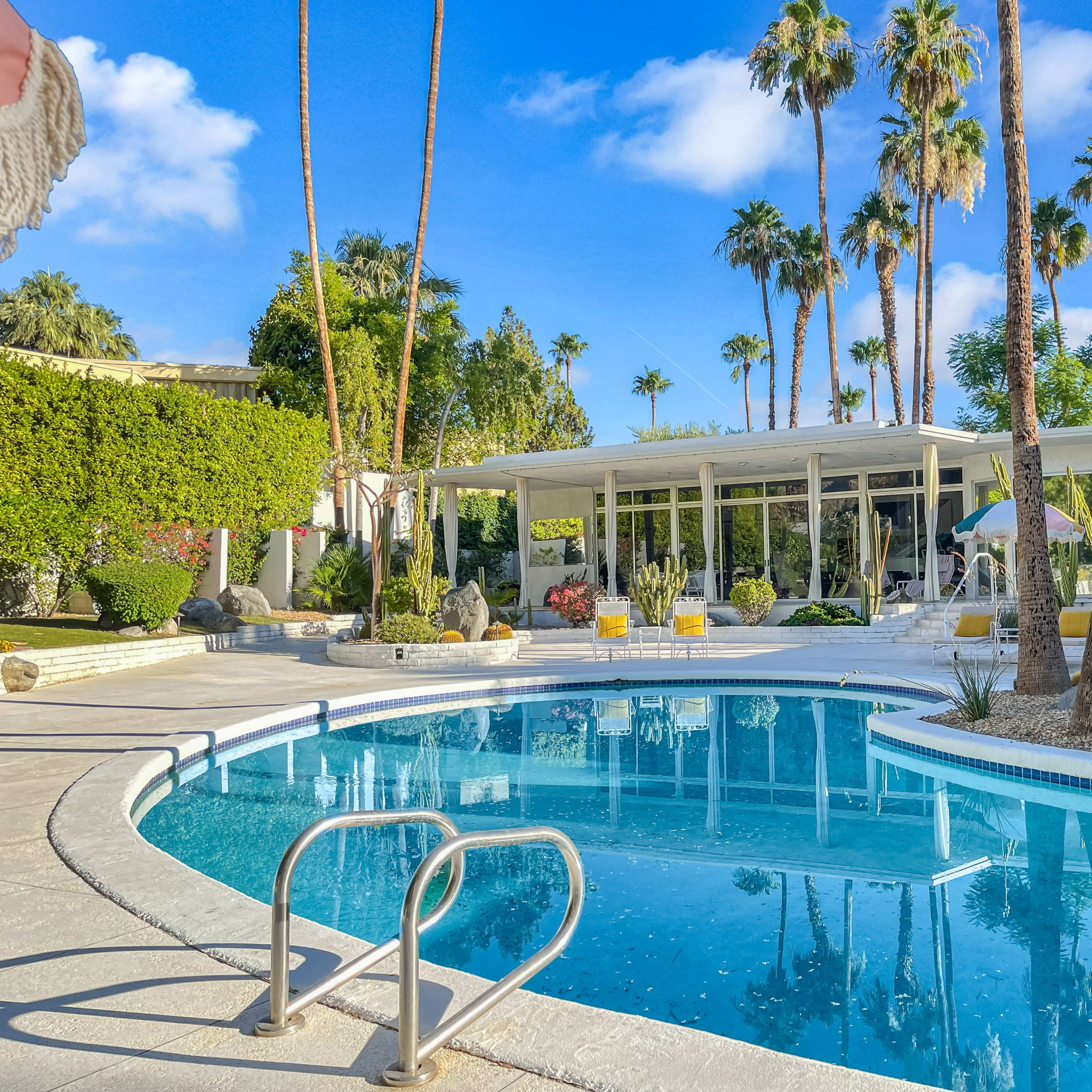 A modern pool surrounded by palm trees and a white-stucco building with large windows.