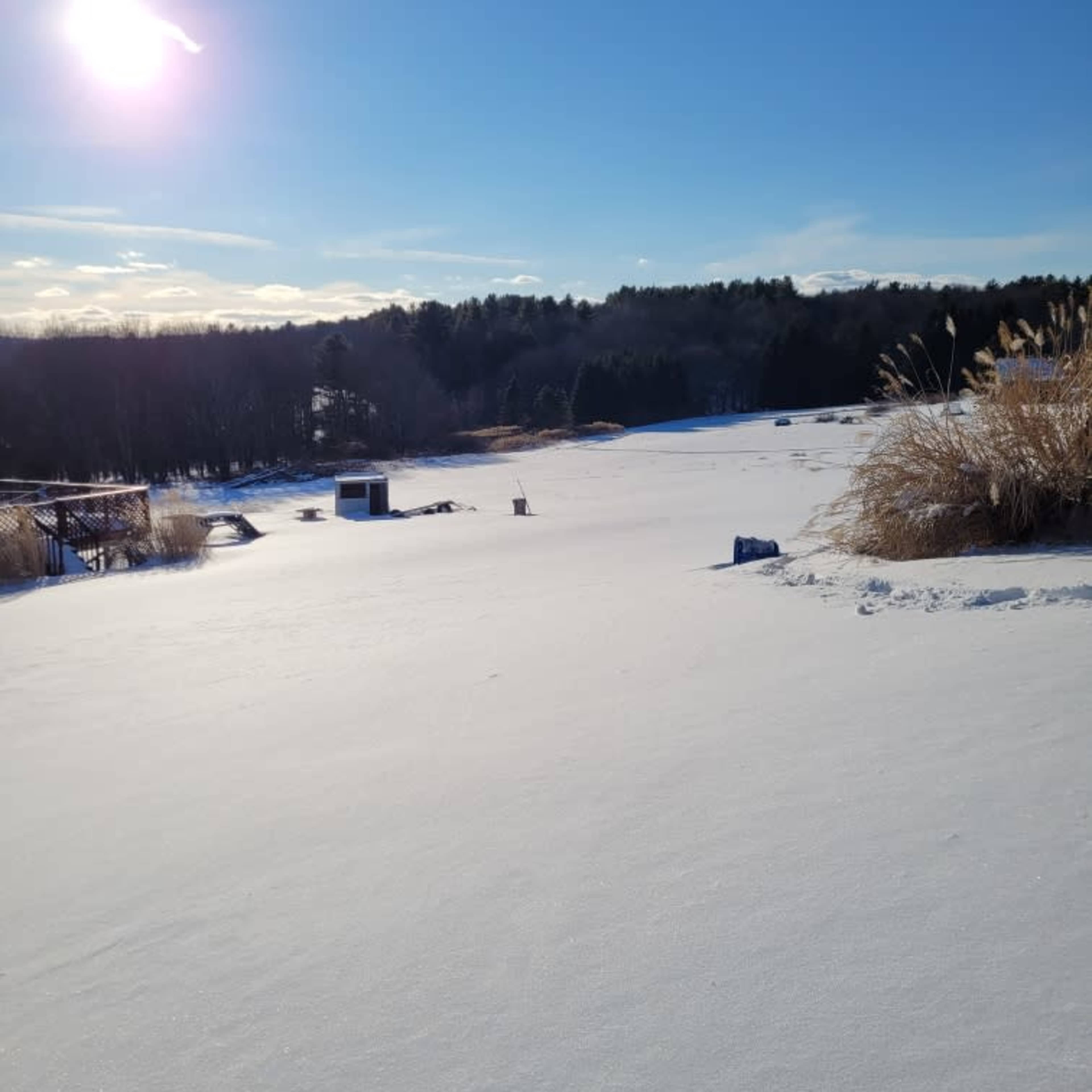 A snowy landscape stretches across the scene, with a bright sun overhead and trees lining the background.