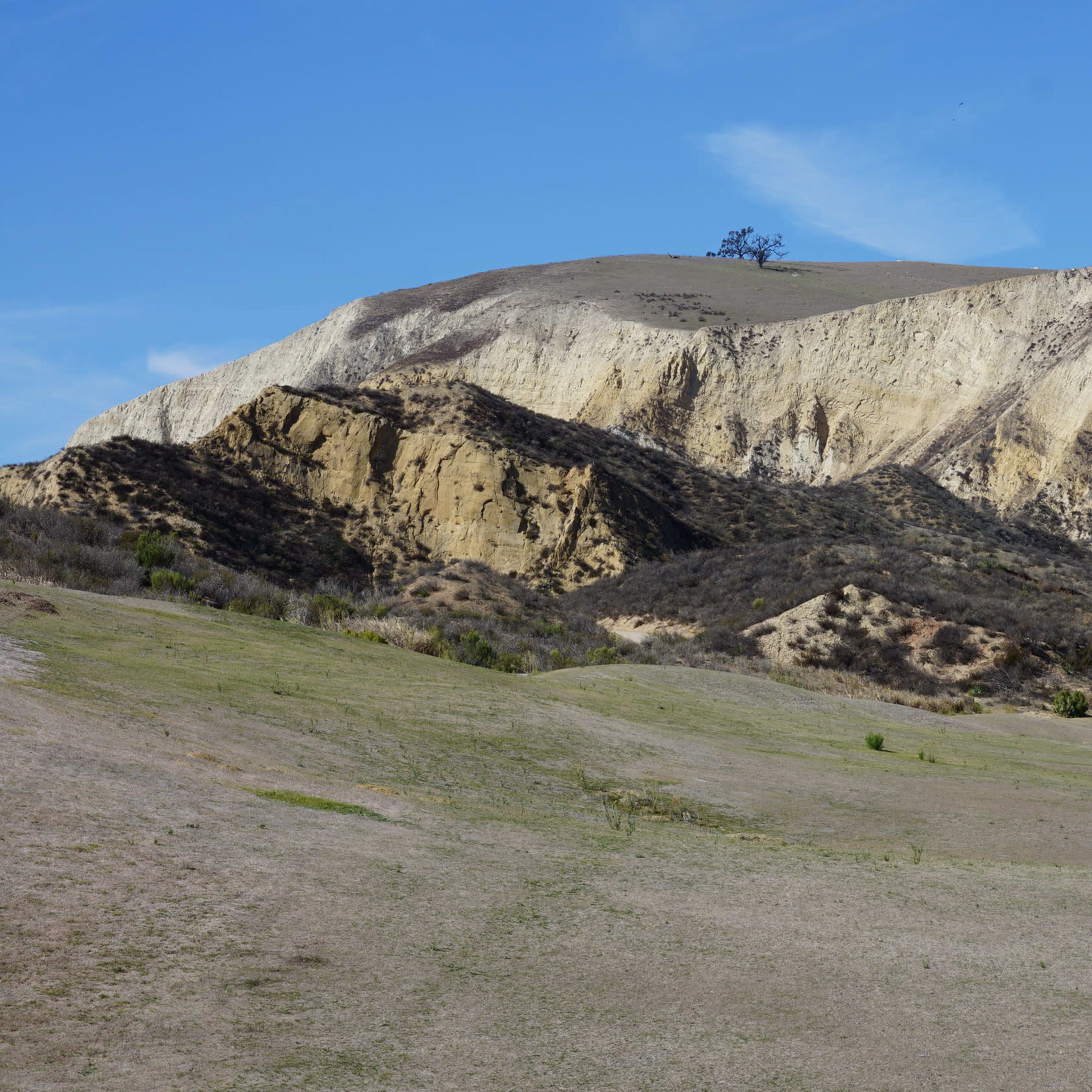 A dry landscape features a distant hill with a solitary tree atop a rocky ridge under a clear blue sky.