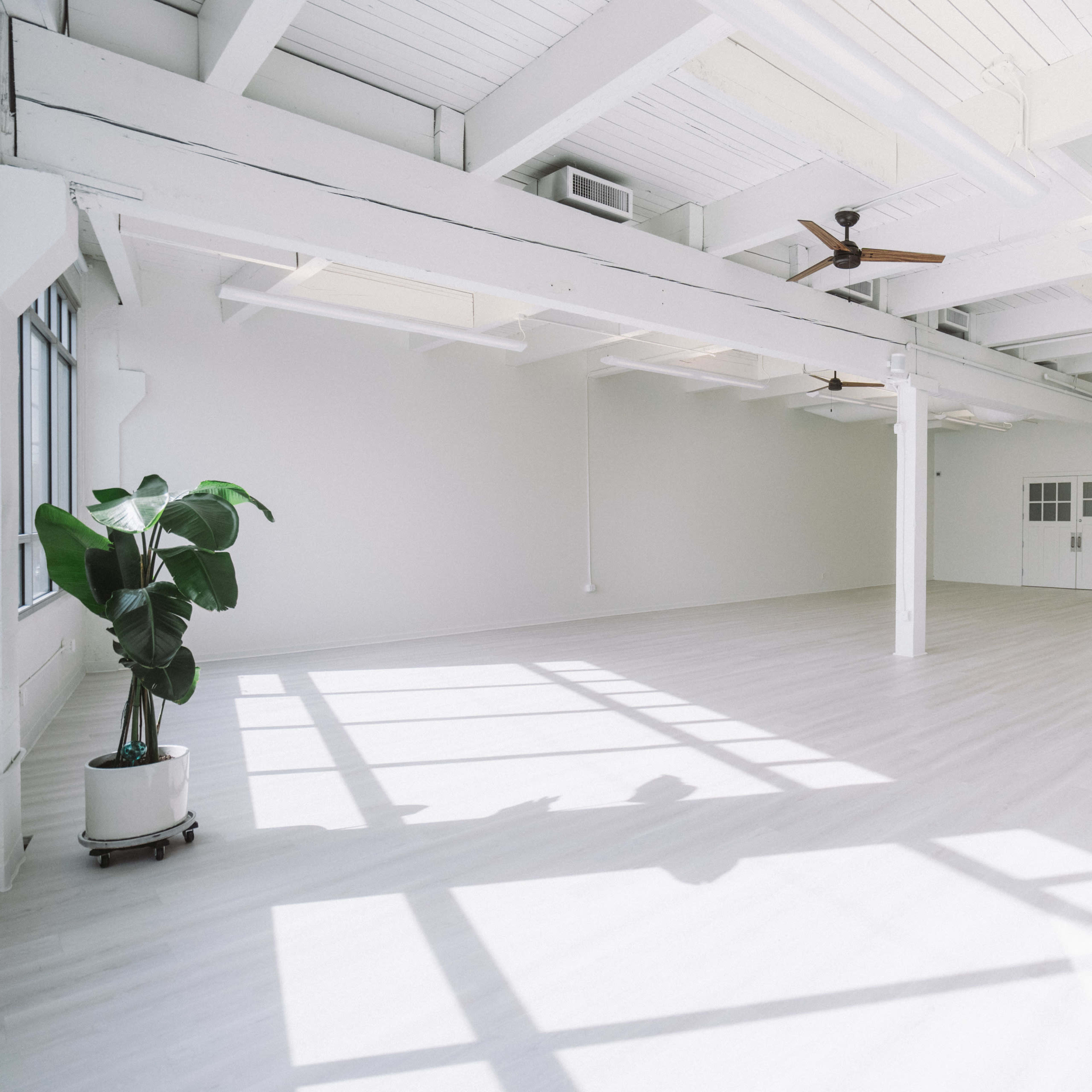 A spacious, well-lit studio with white walls and wooden flooring, featuring large windows and a few plants.