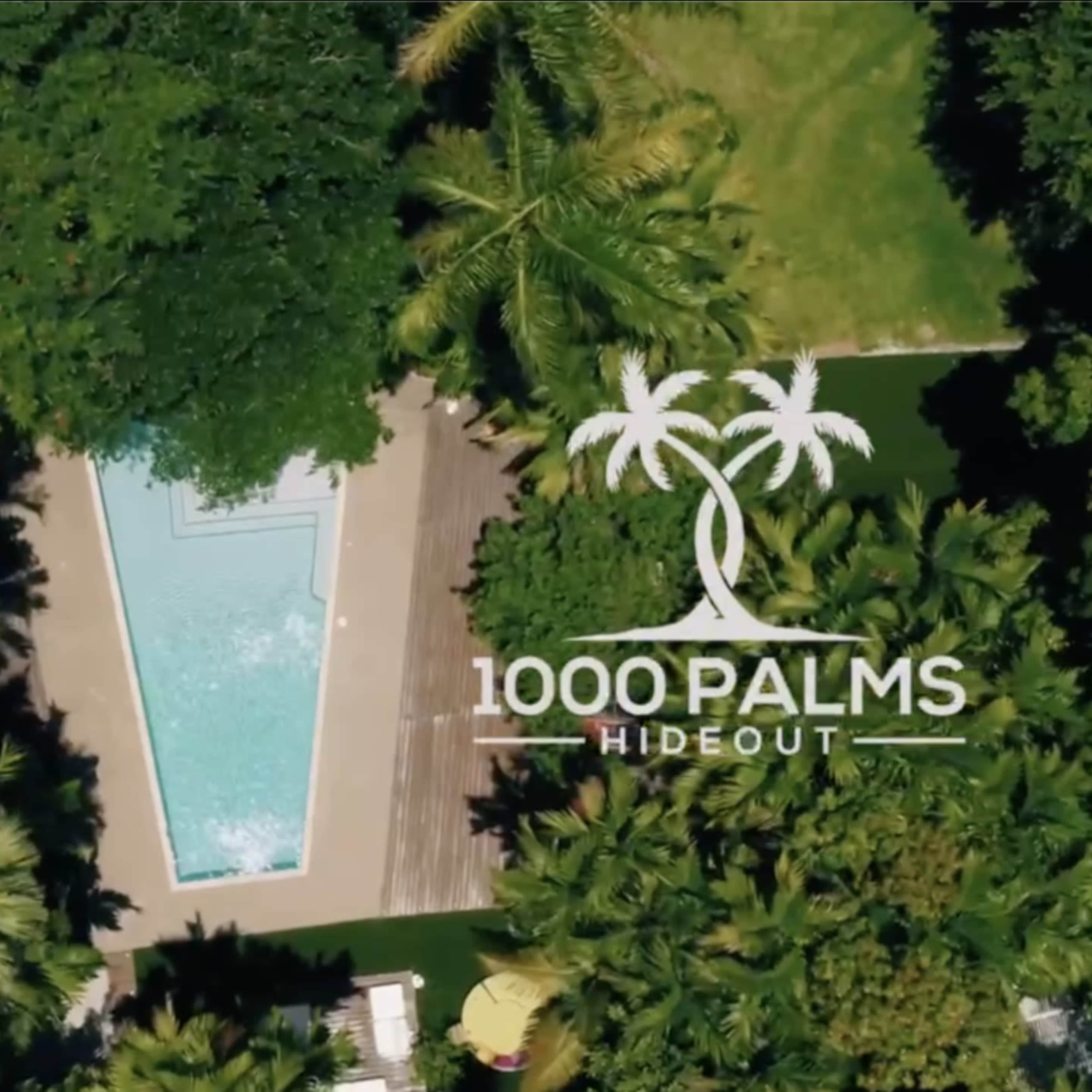 An aerial view of a rectangular swimming pool surrounded by lush greenery and palm trees.