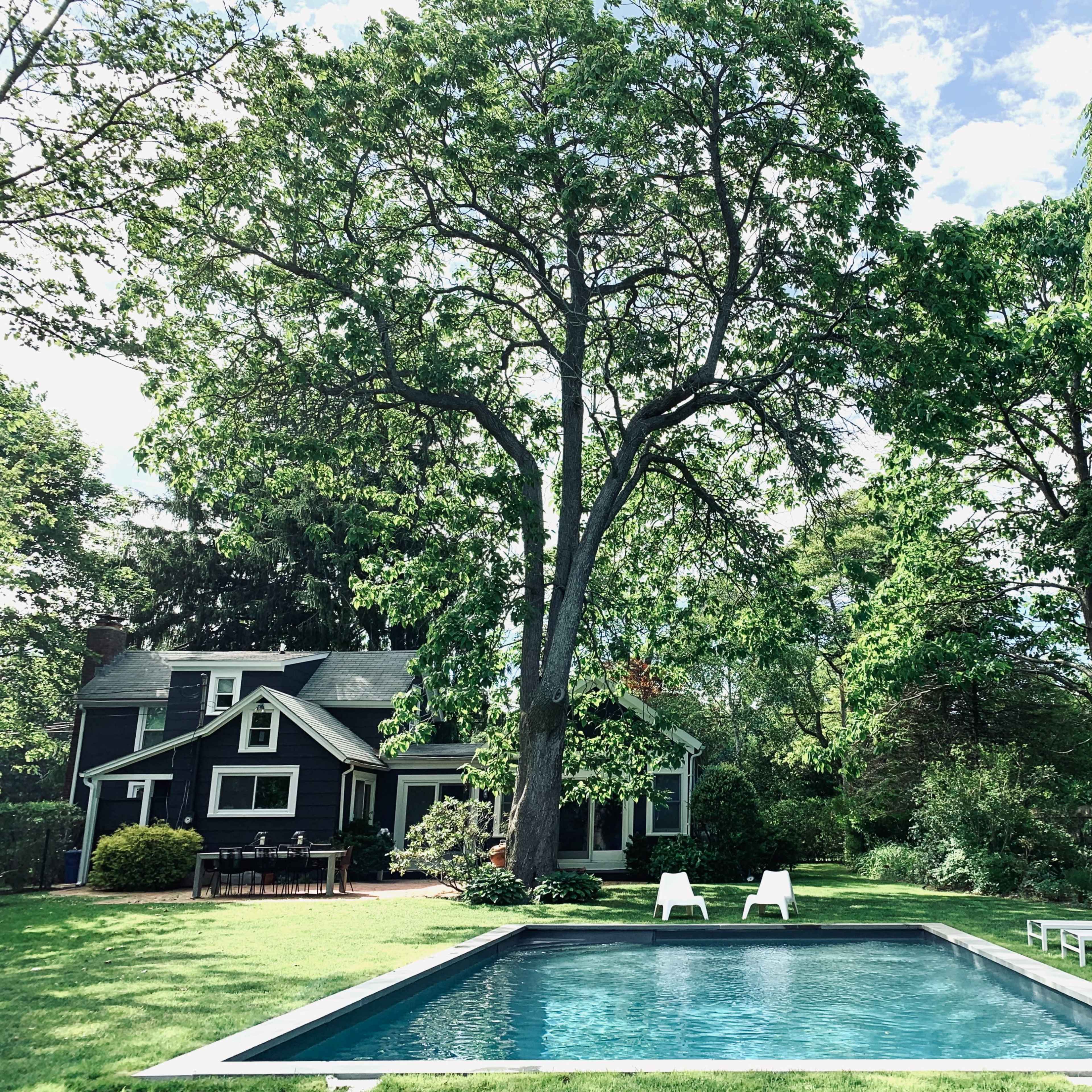 A black house with a swimming pool surrounded by green grass and tall trees.