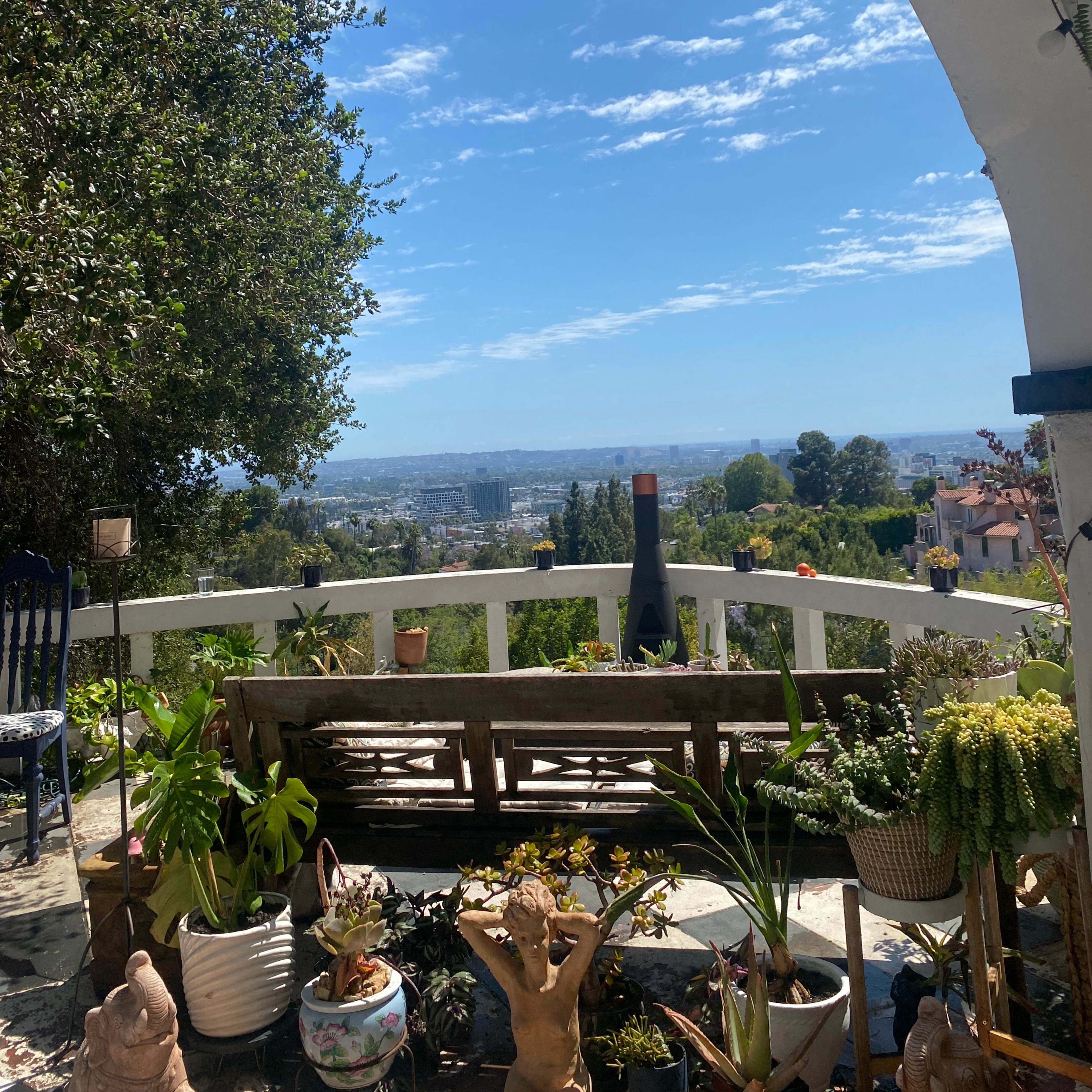 A wooden bench and various potted plants are arranged on a terrace with a view of a cityscape under a blue sky.