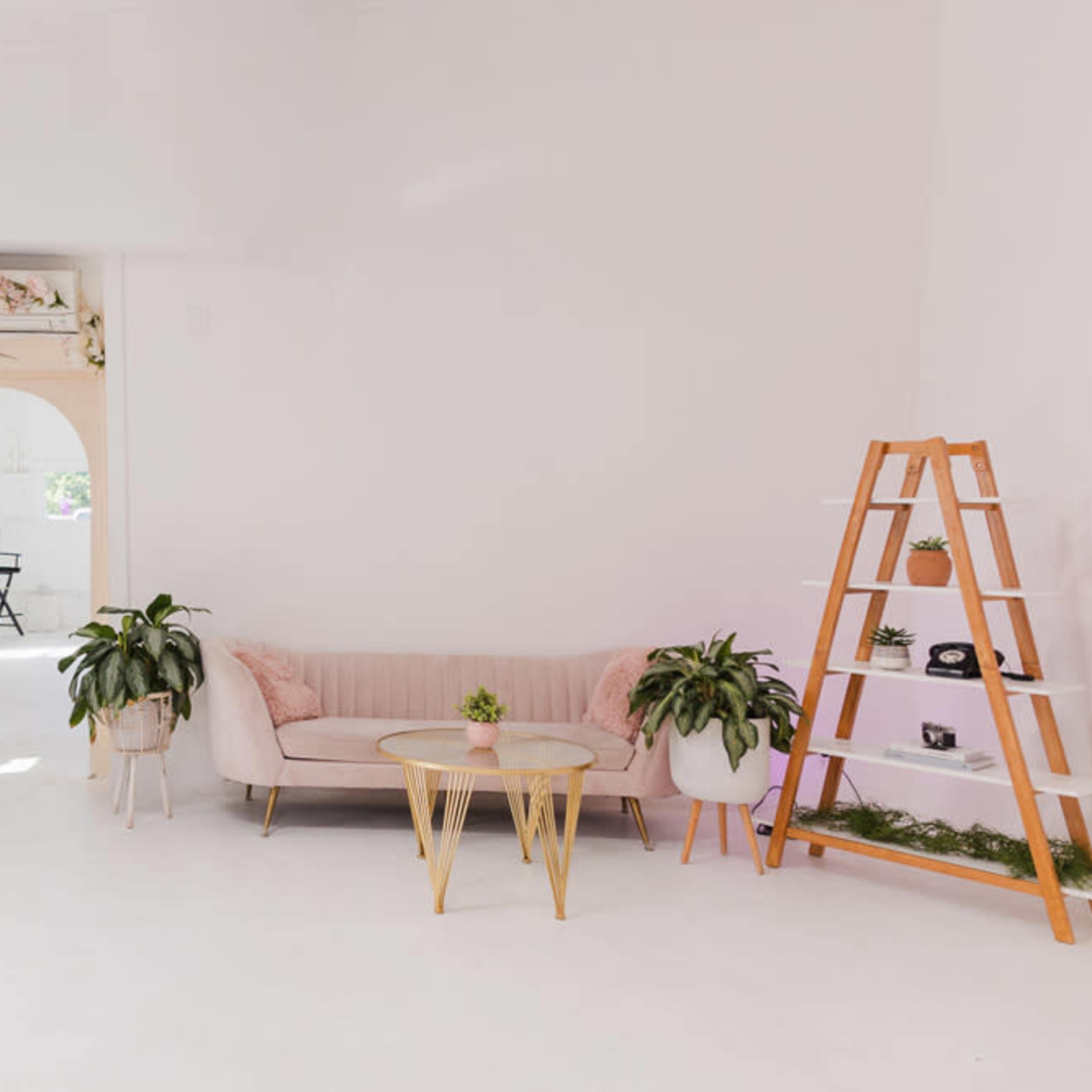 A bright, minimalist room with a pale pink sofa, a wooden ladder shelf, and floral decor around an archway.