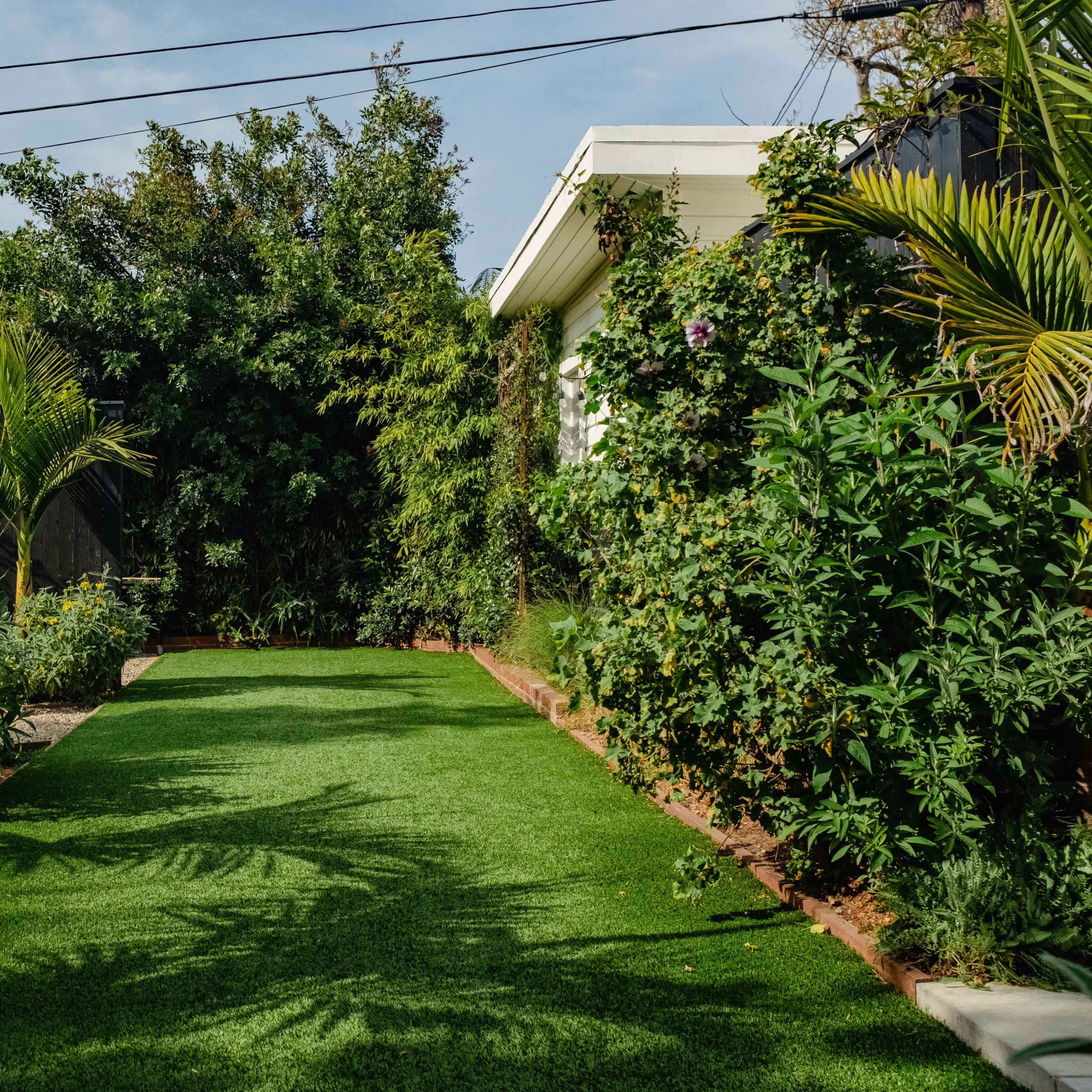 A green yard with artificial turf bordered by various foliage and a white house in the background.