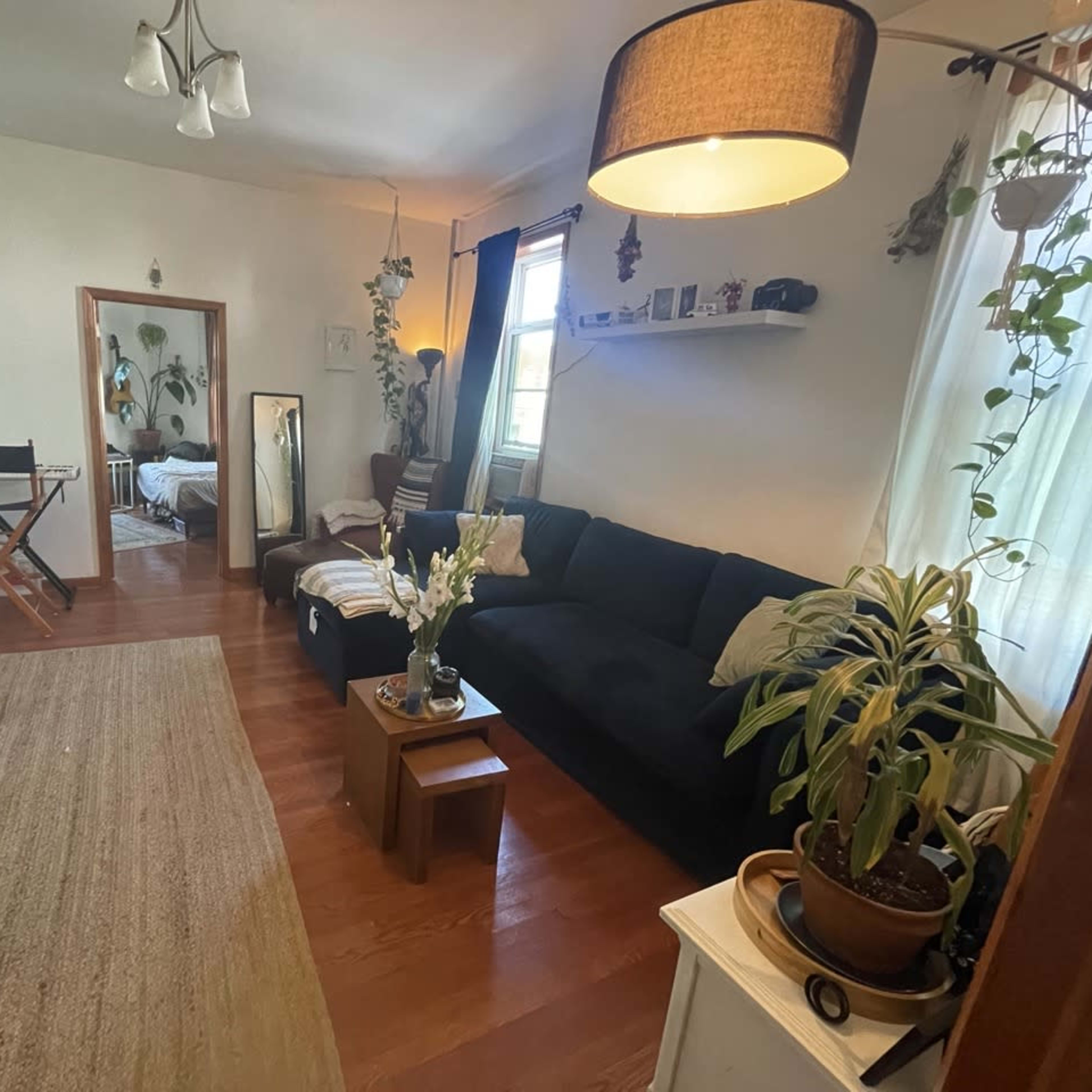 The living room features a dark sofa, a wooden coffee table, and plants, with a doorway leading to another room in the background.