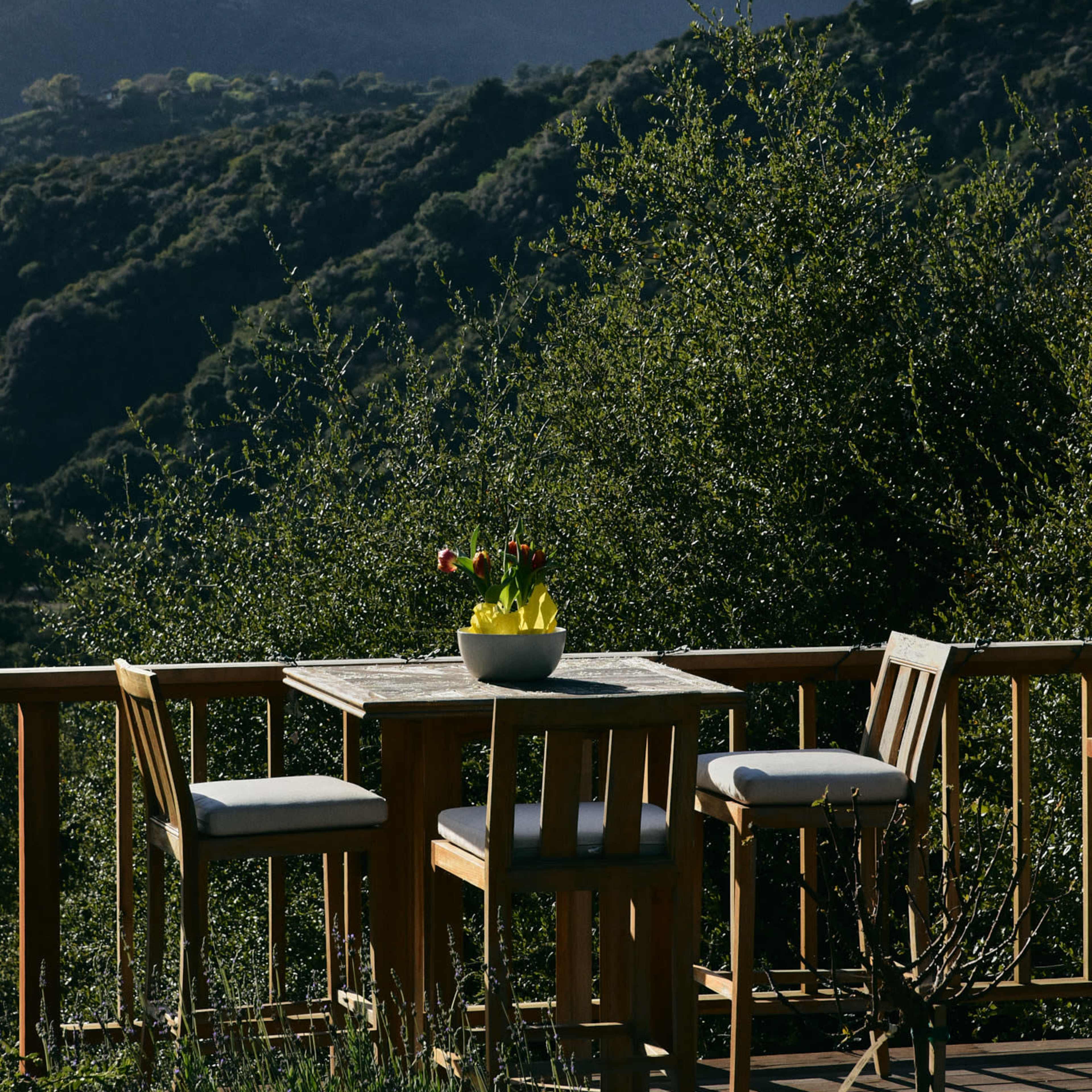 A wooden deck with chairs and a table features a potted plant, set against a backdrop of mountains and a cloudy sky.