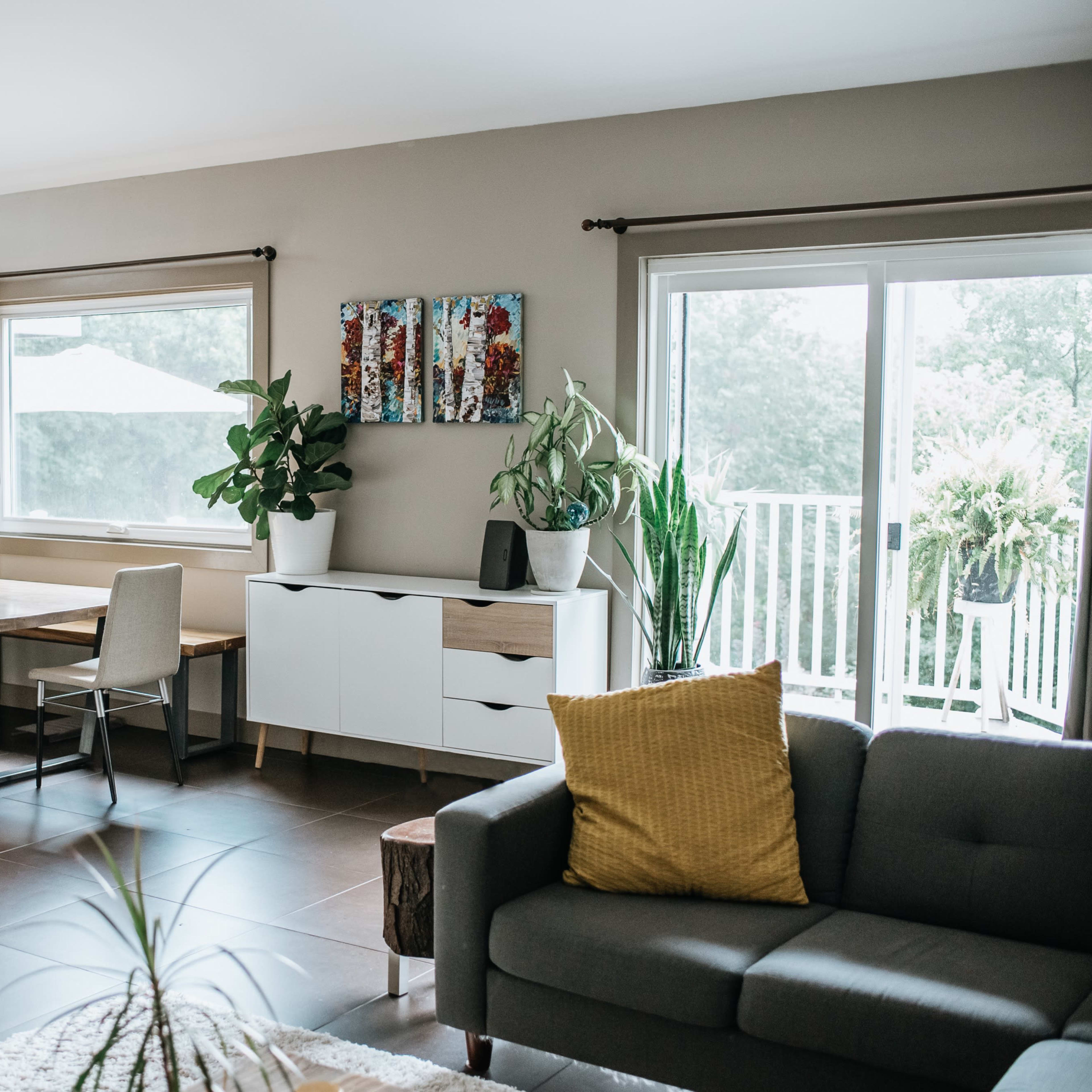 A modern living space featuring a dining area with a wooden table and chairs, a grey sofa, and large windows with plants on display.