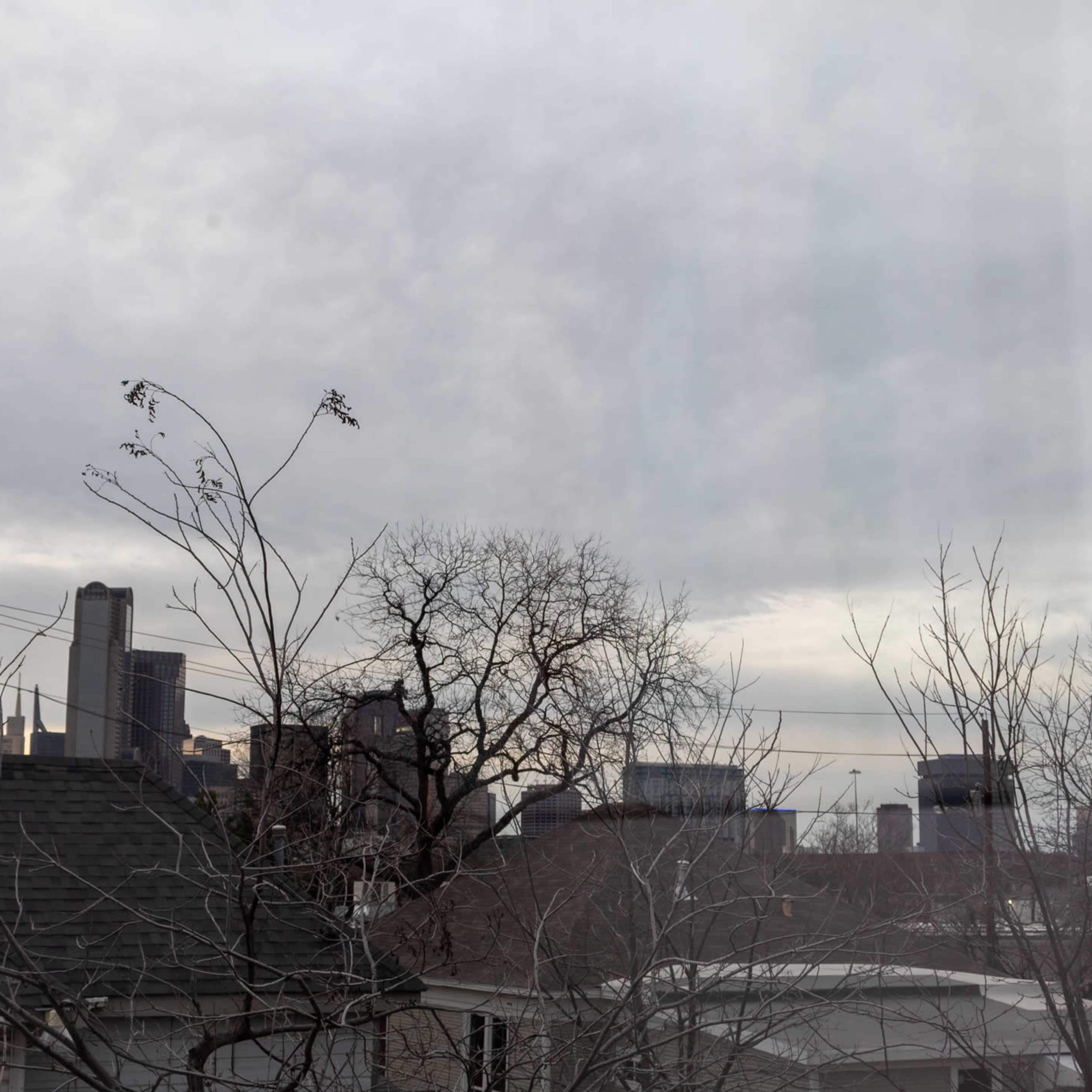 A view of city buildings is framed by bare tree branches against an overcast sky.