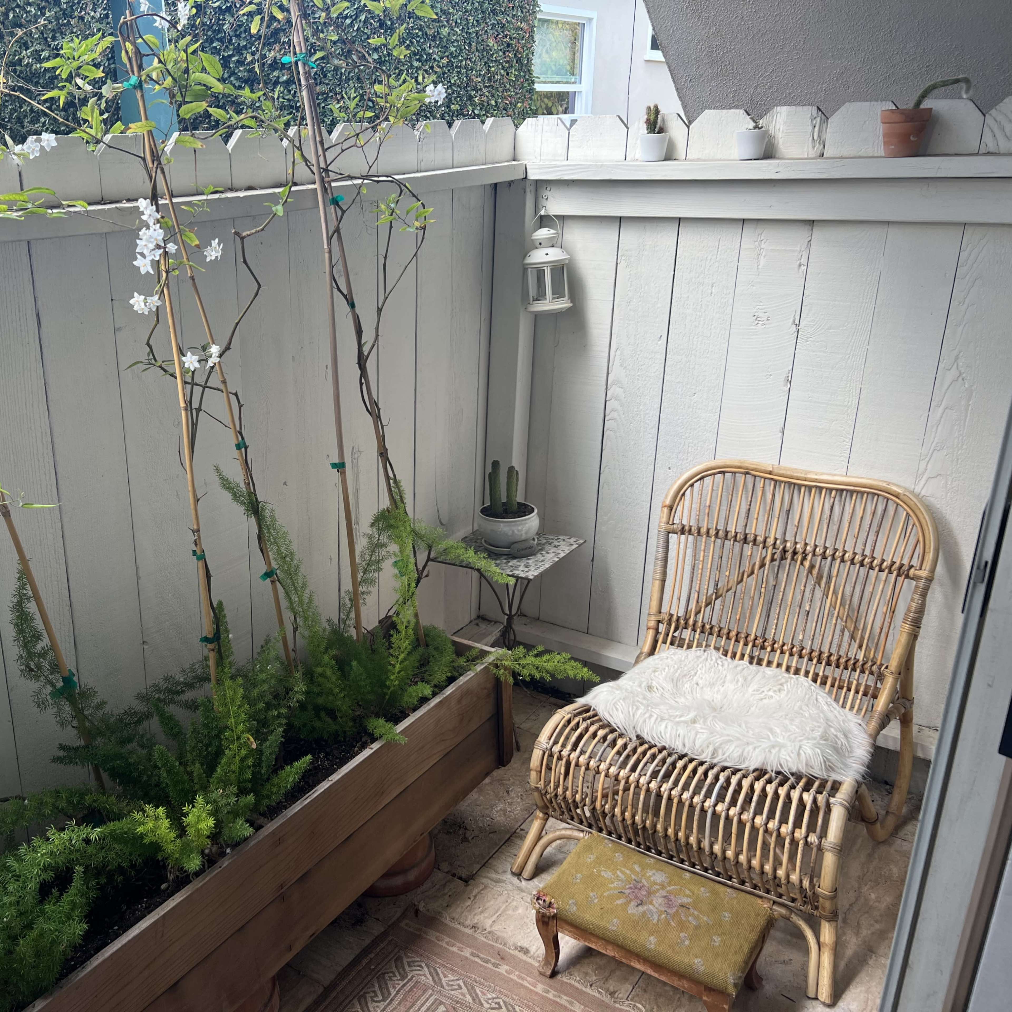 A small outdoor space features a planter with climbing plants and ferns beside a wicker chair and a round table against a white wooden fence.