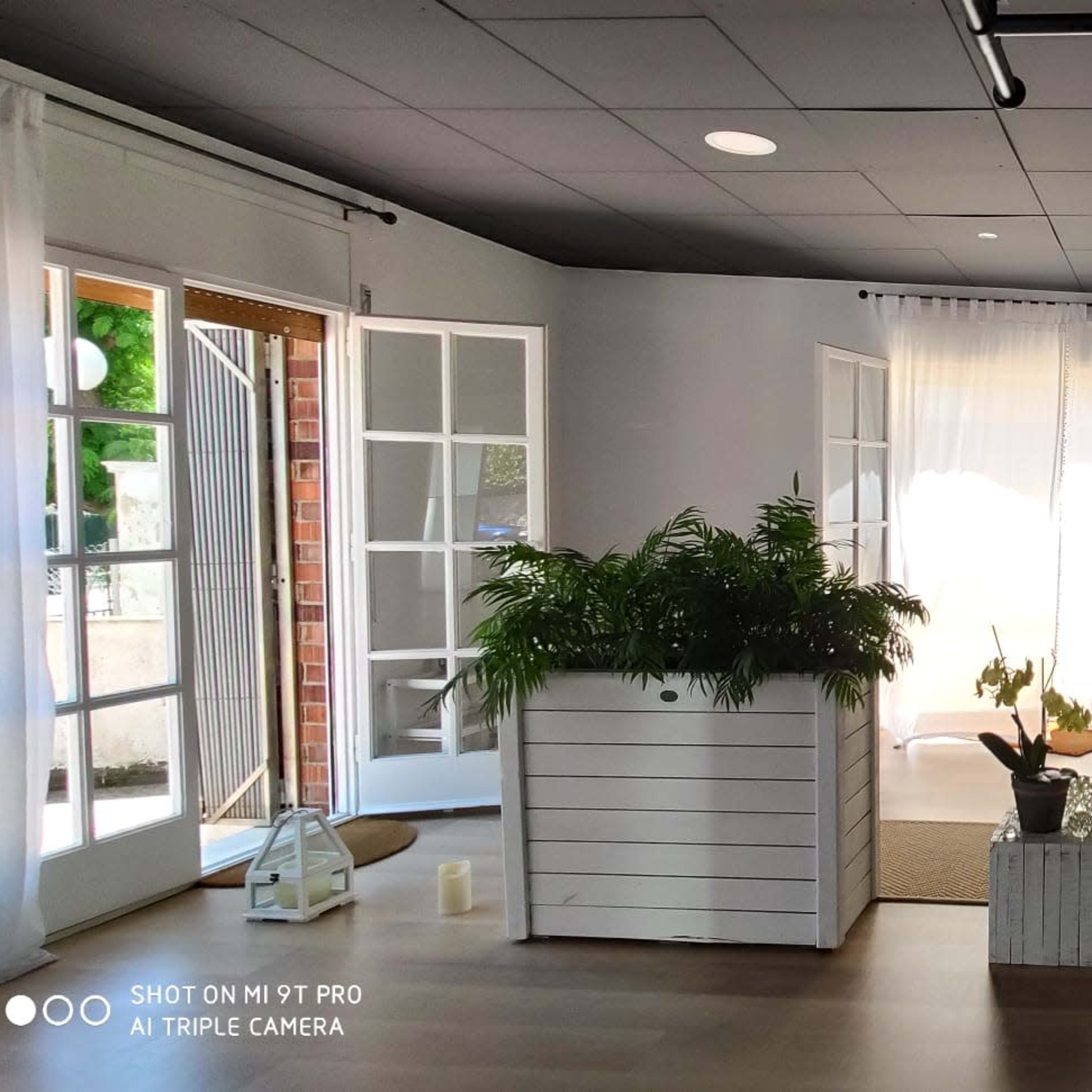 A bright, modern interior space featuring large windows, potted plants in white wooden planters, and a cozy area with a rug.