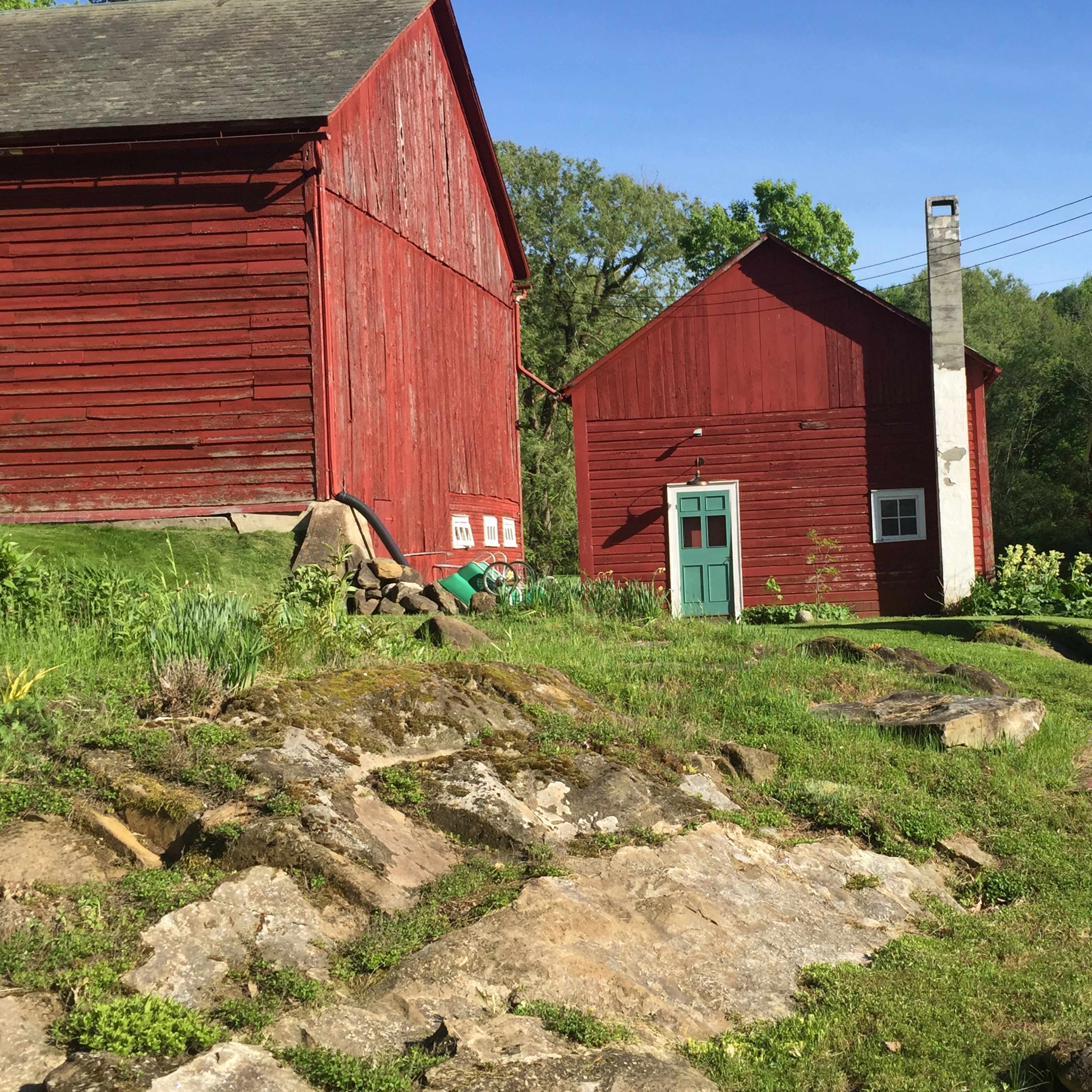 A cluster of red barns and a small shed surrounded by green grass and rocks.