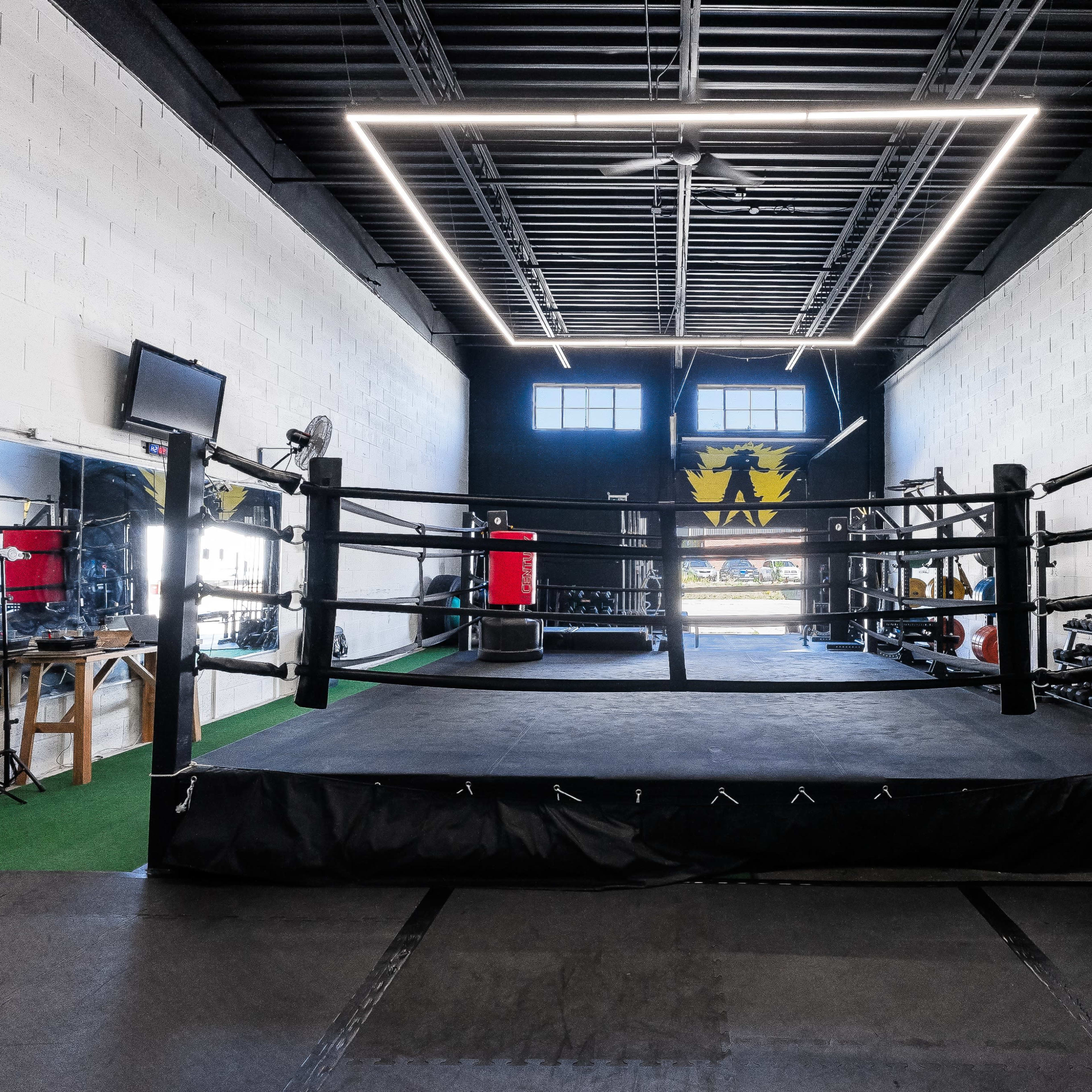 An indoor boxing gym featuring a central boxing ring, lined weights on the wall, a TV monitor, and large windows providing natural light.