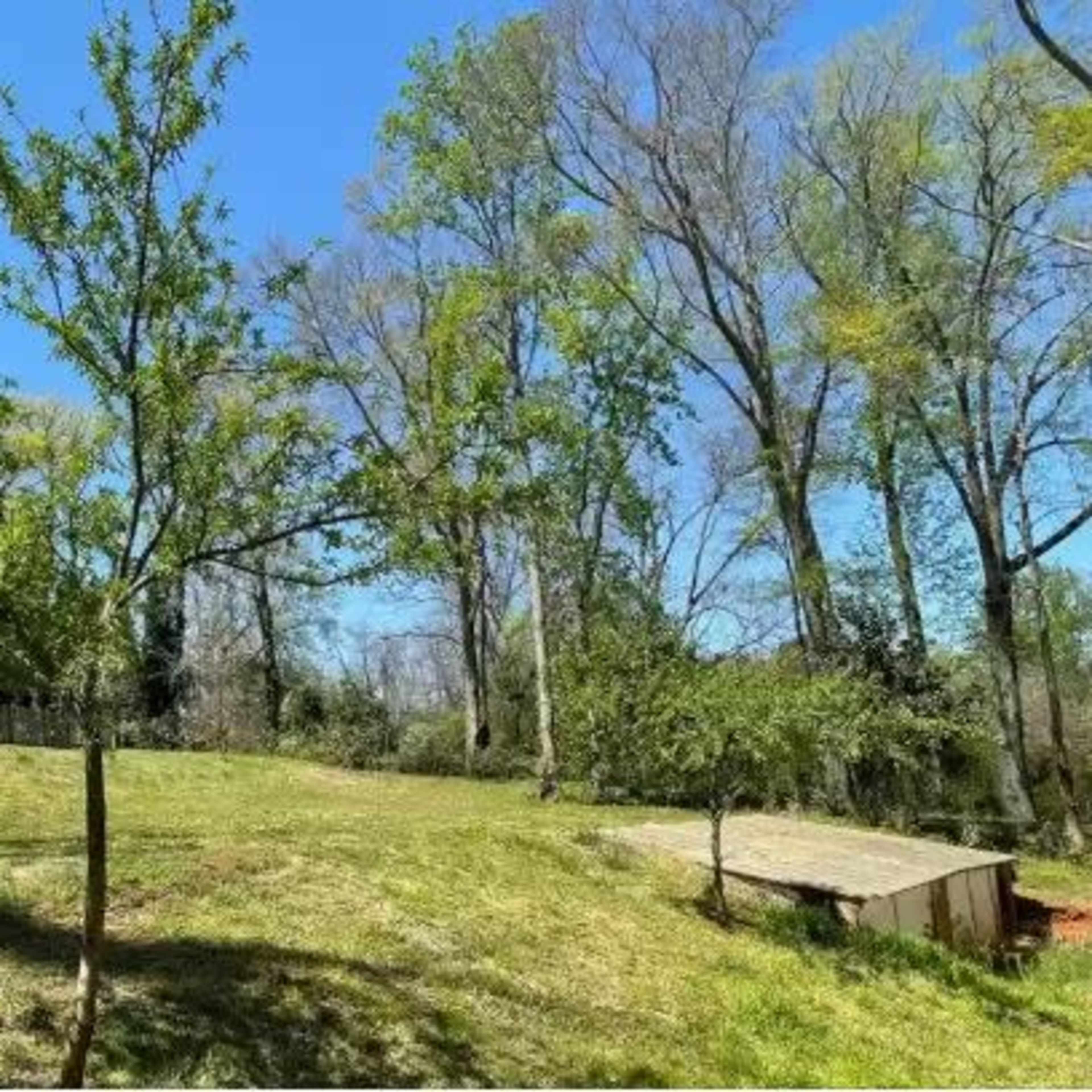 A grassy area is shown with several trees and a wooden structure in the background under a clear blue sky.