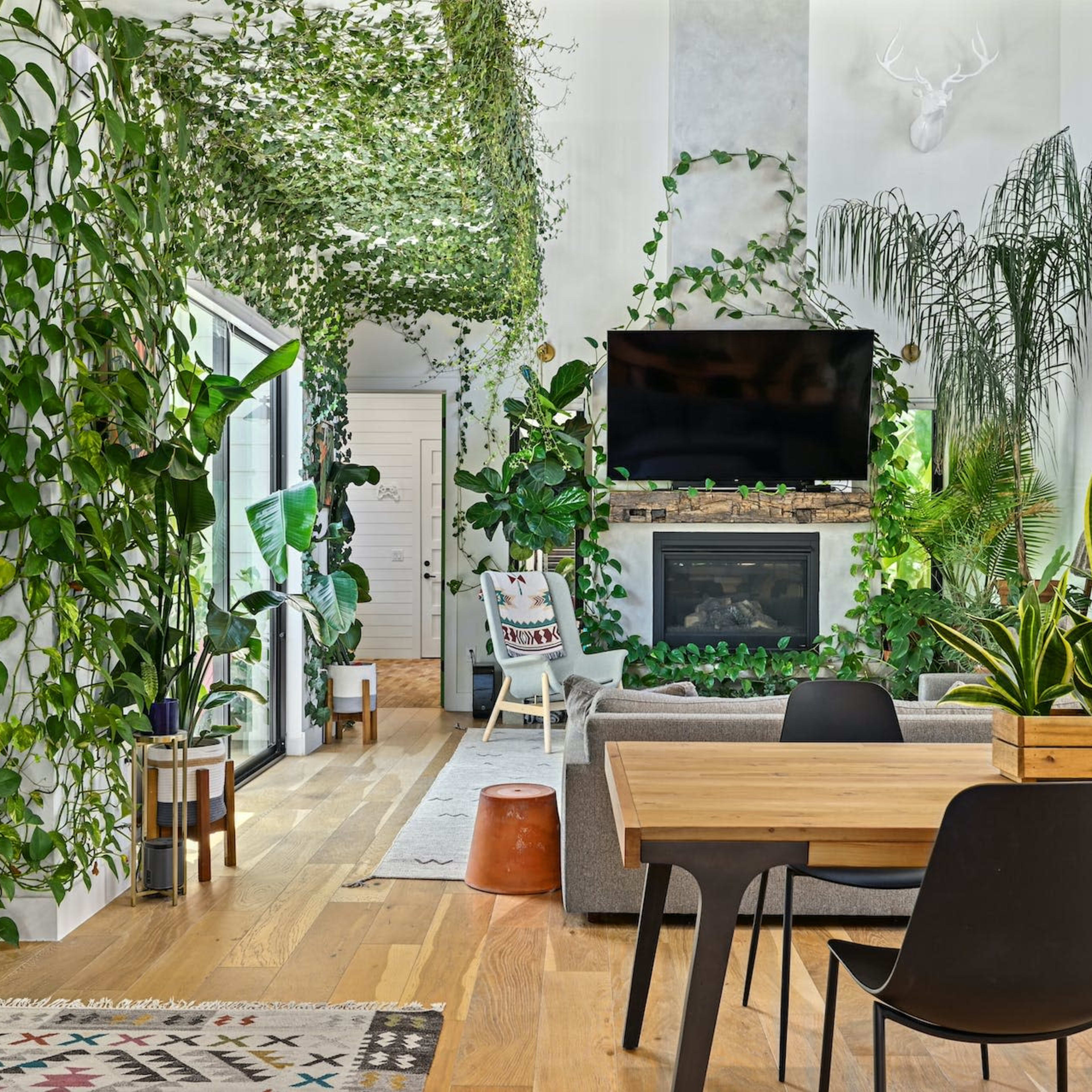 A bright living room filled with various indoor plants, a television above a fireplace, and a wooden dining table with black chairs.