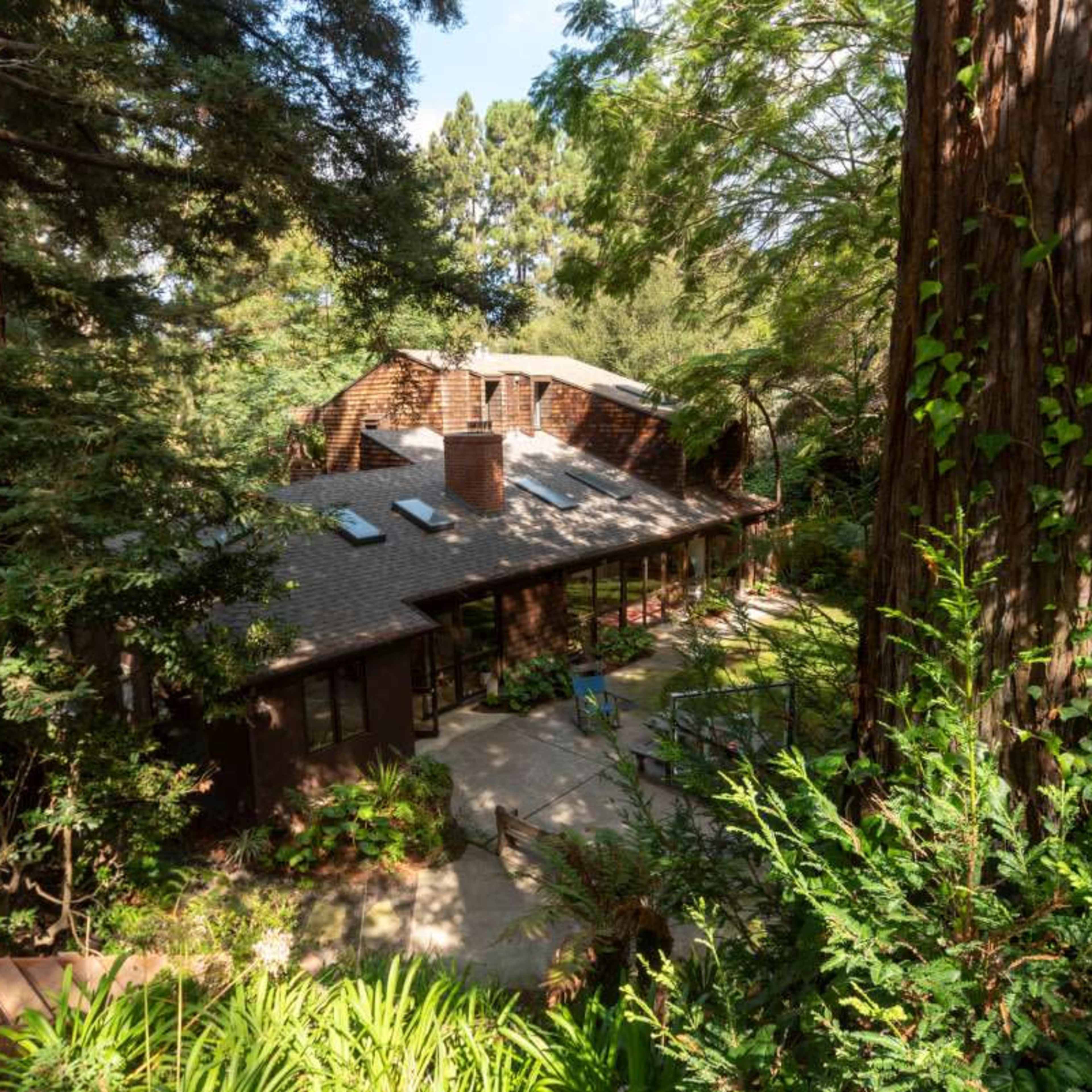 A modern house is nestled among tall redwood trees, with a stone patio visible in the foreground.