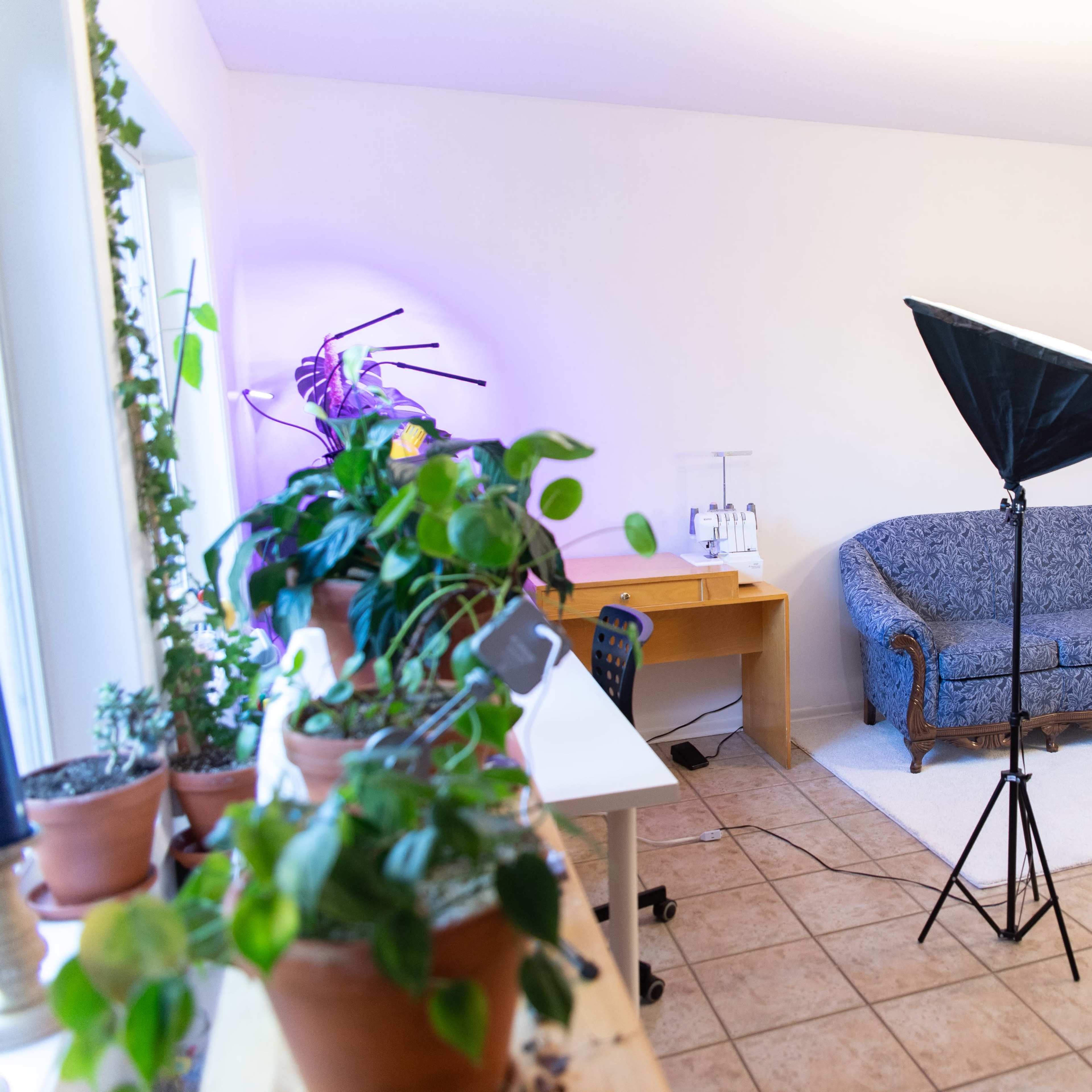 A well-lit room features a blue couch, a desk, and studio lighting equipment set up near a backdrop.