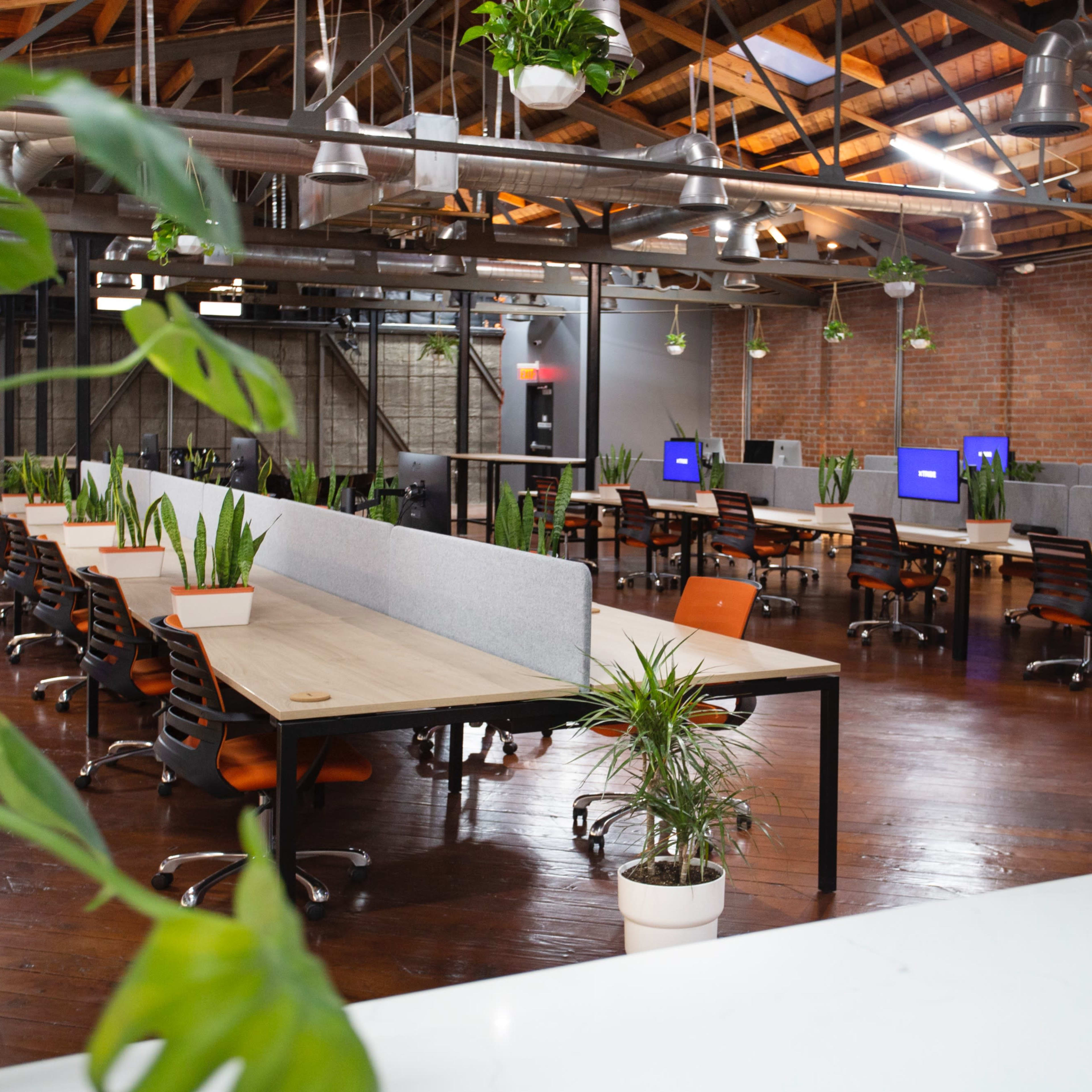 A spacious office with multiple rows of desks, equipped with computer monitors and surrounded by potted plants.