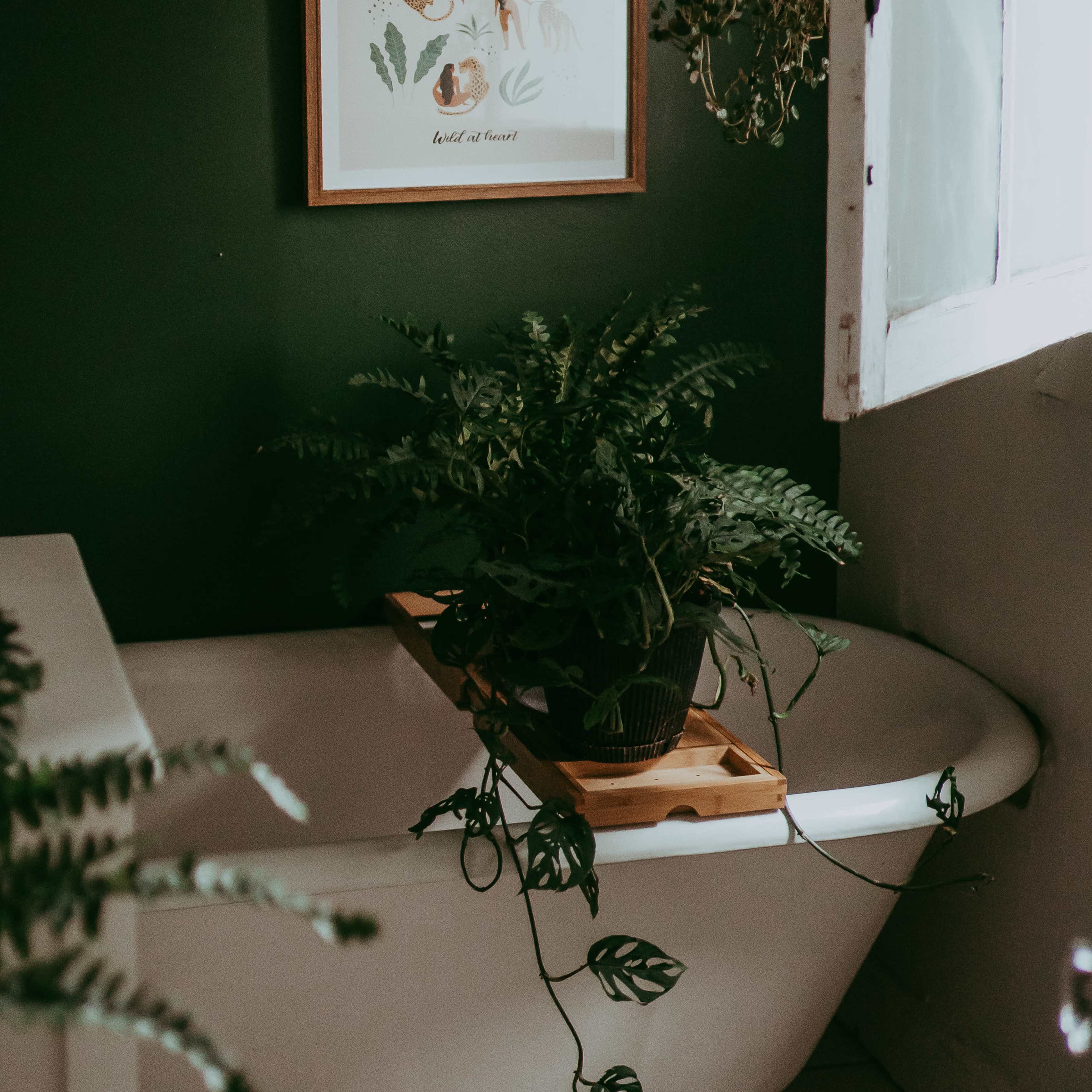 A clawfoot bathtub is positioned near a window, adorned with a wooden tray holding a potted plant and surrounded by greenery.