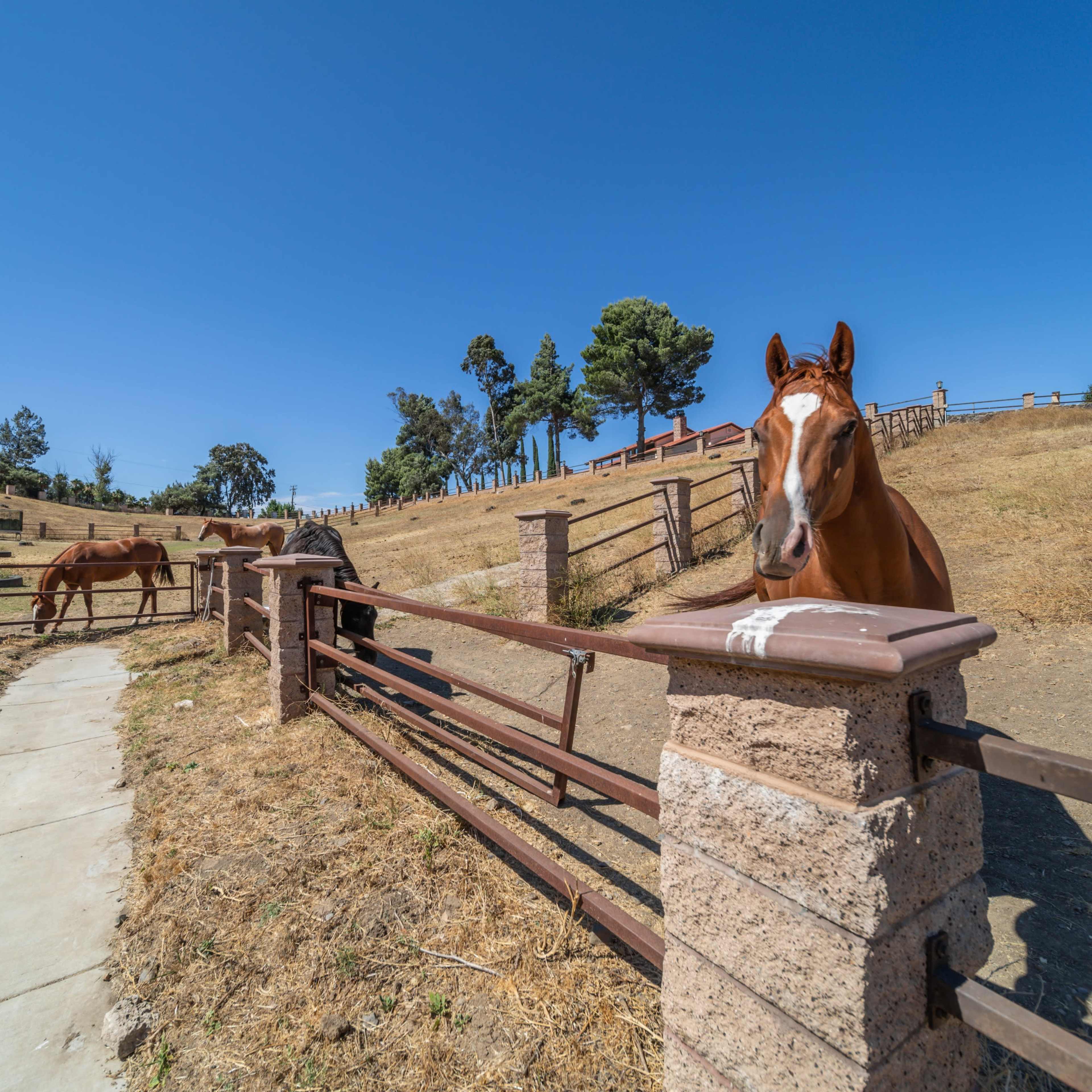 Rustic Horse Ranch with Scenic Views Image in Murrieta, Murrieta, CA