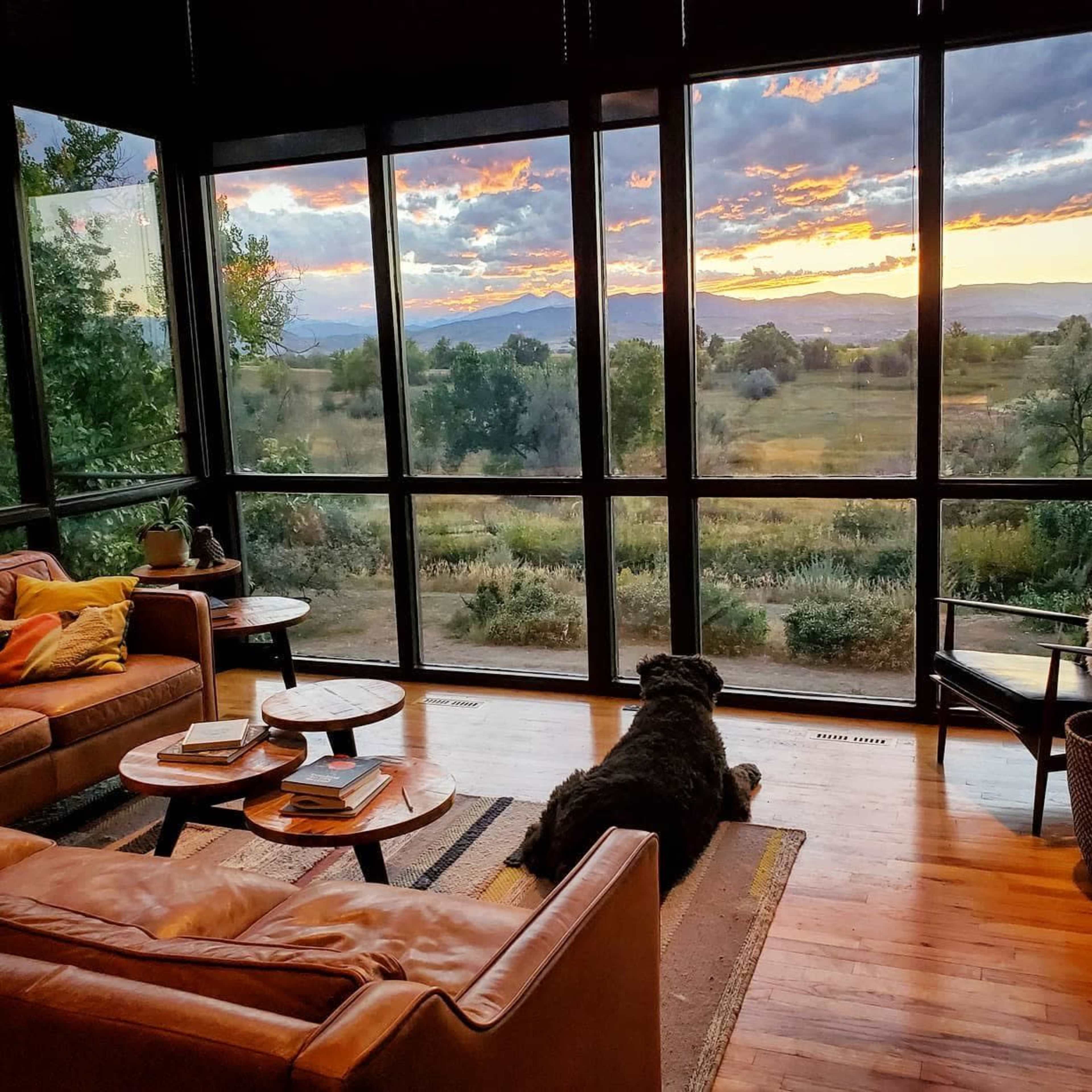 Glass and wood, MCM home, with exceptional mountain views Image in Campion, Loveland, CO