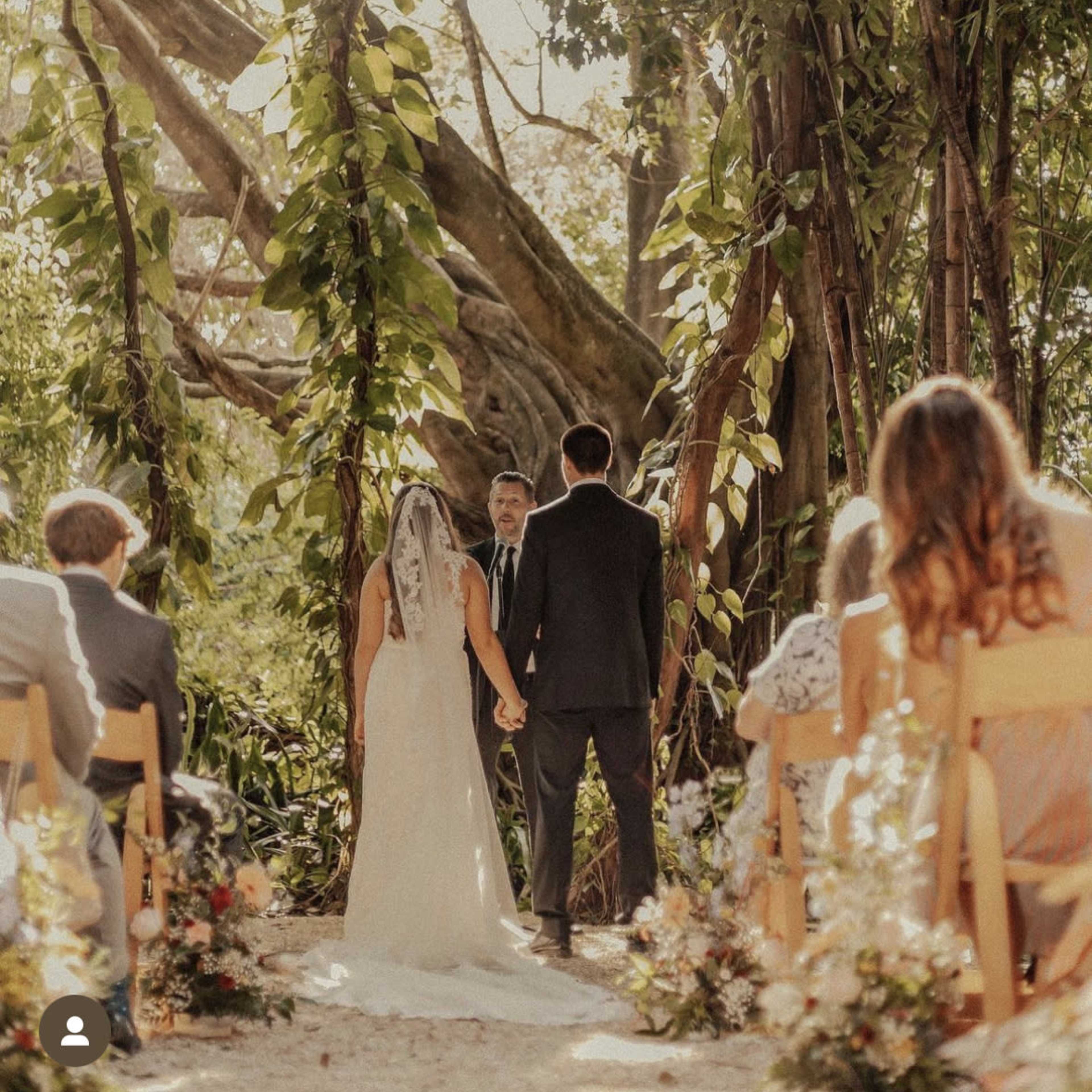 A couple stands holding hands in front of an officiant under a canopy of greenery during their wedding ceremony.