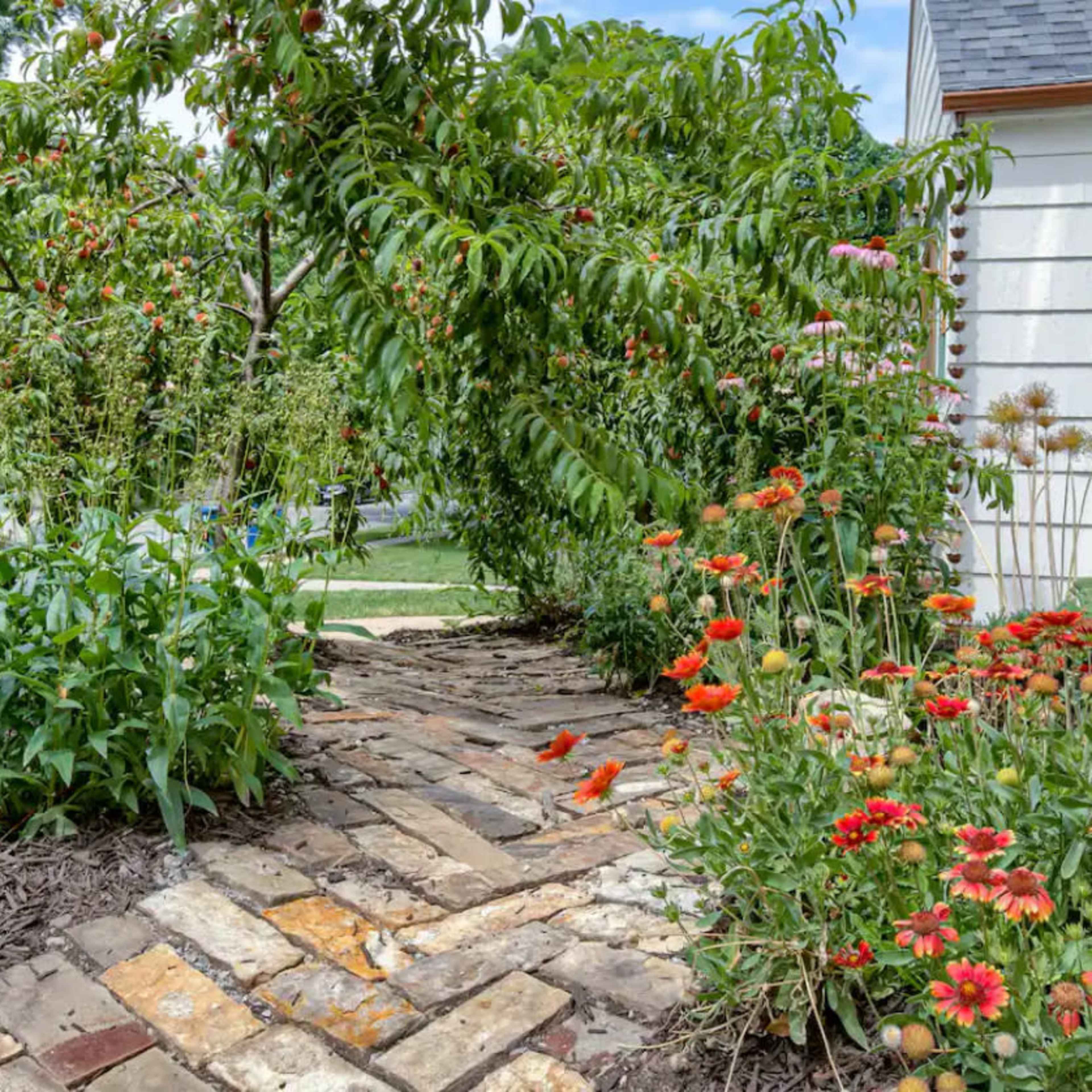 A stone pathway is bordered by colorful flowers and greenery, leading to a residential street.