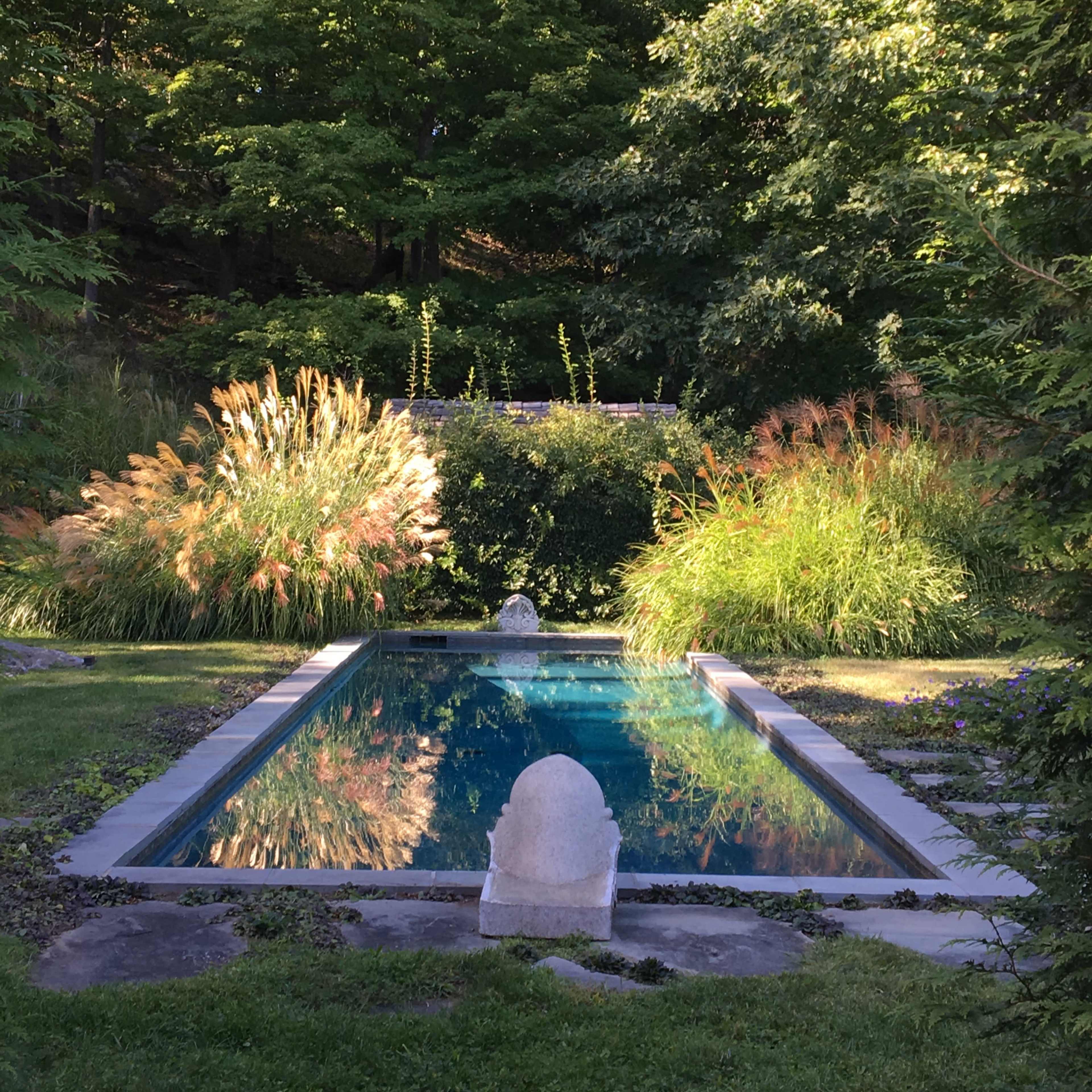 A tranquil pool surrounded by lush greenery and ornamental grasses under a clear blue sky.