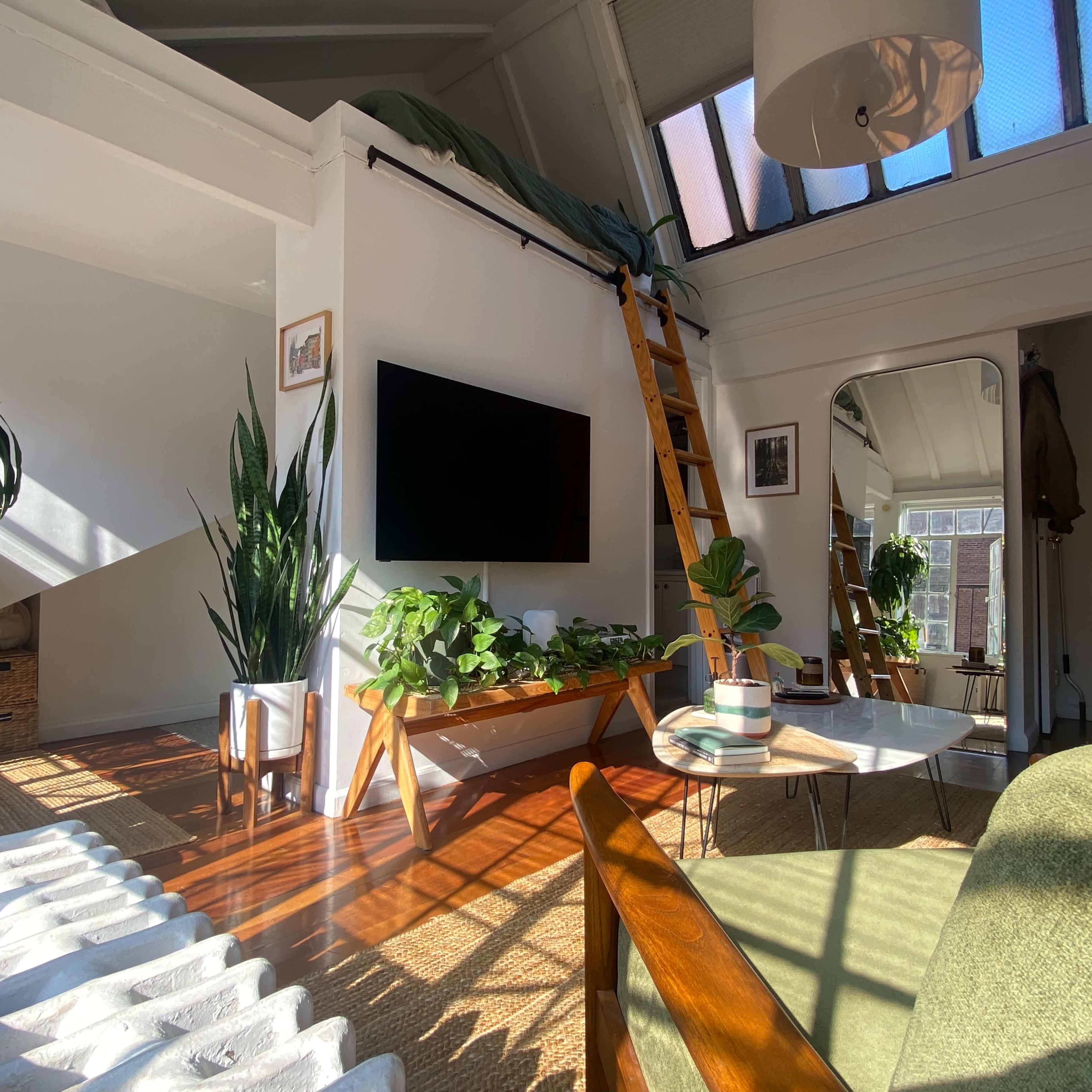 A bright living room with a wooden ladder leading to a loft, surrounded by various plants and a large television mounted on the wall.
