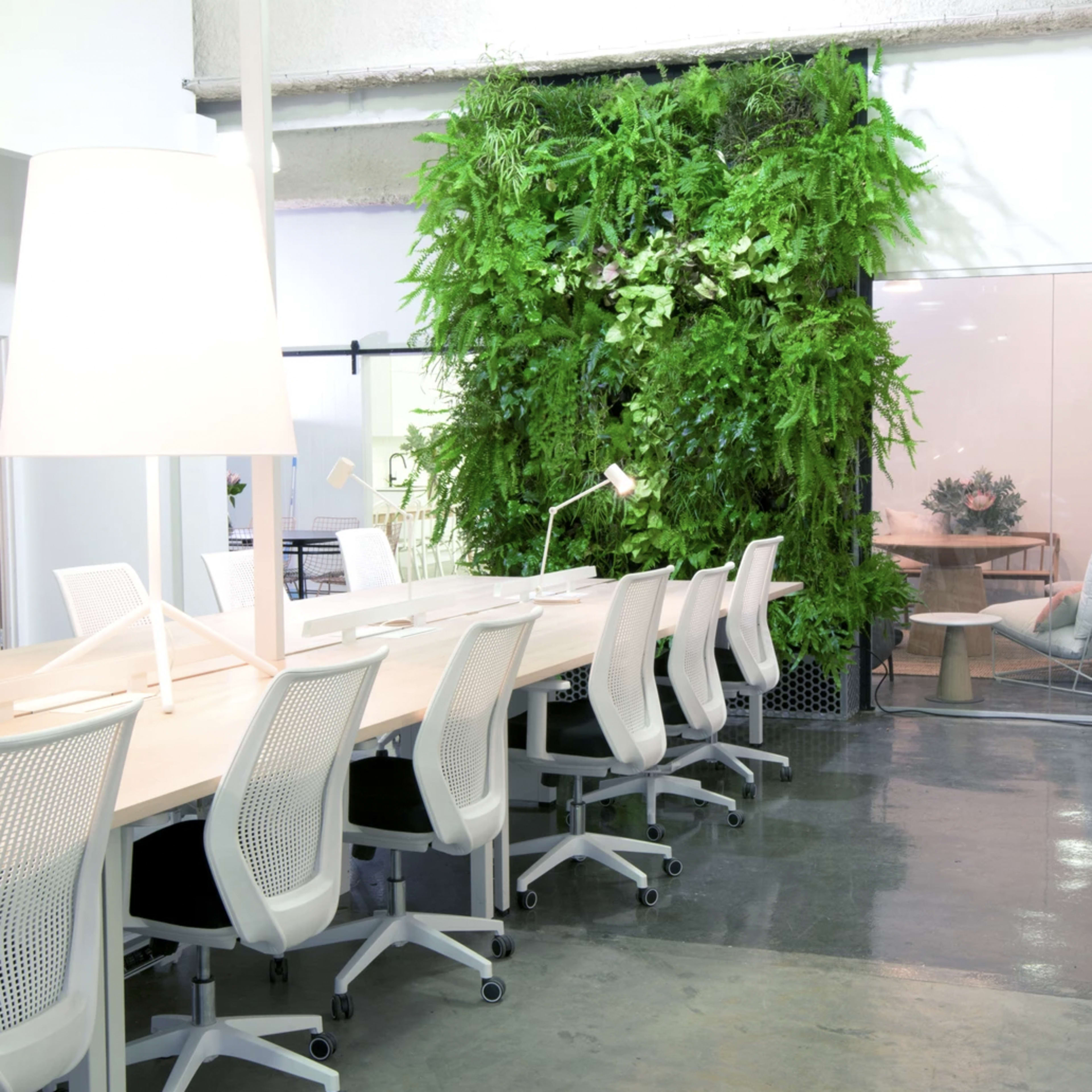 A modern office space with a long wooden table surrounded by white office chairs and a vertical garden in the background.