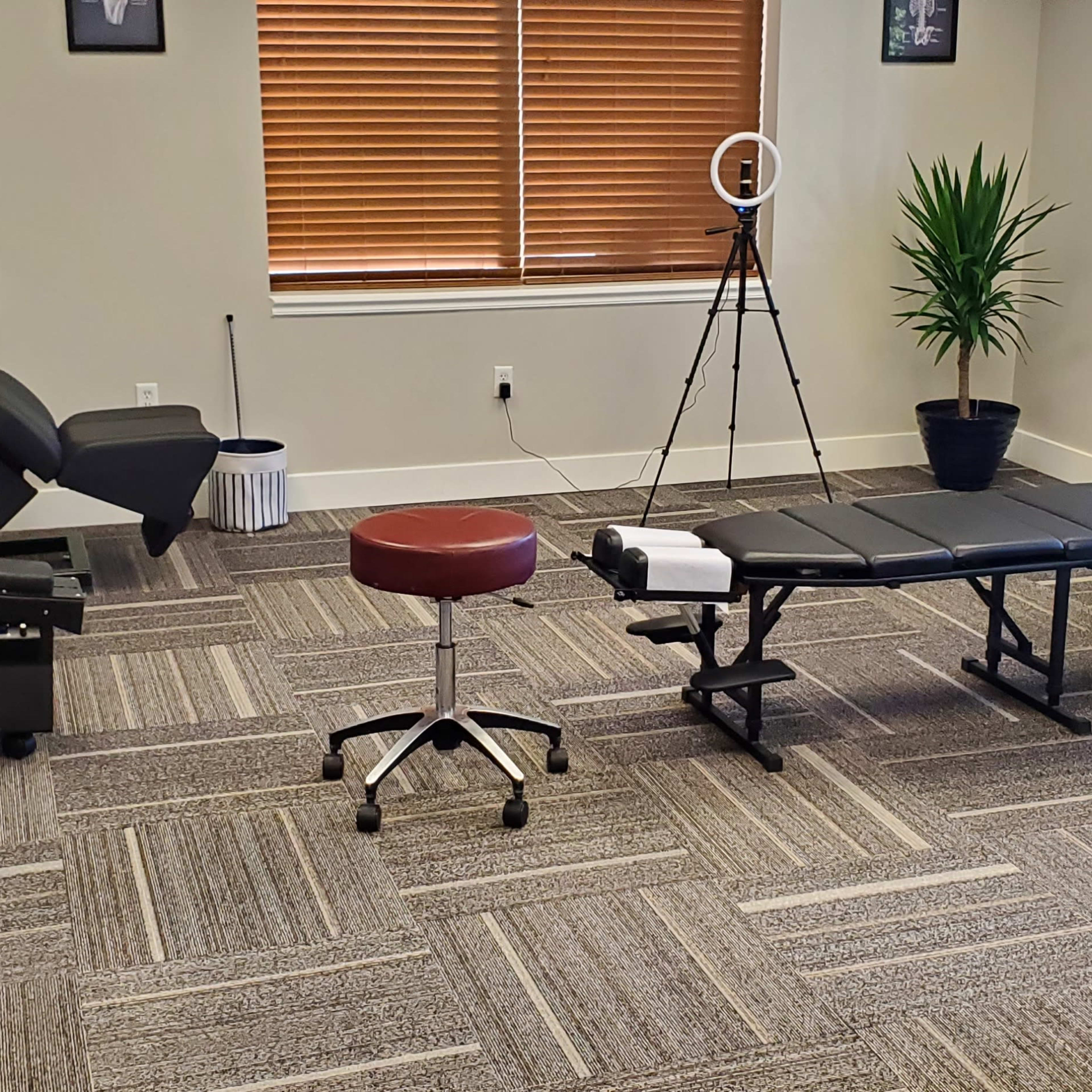 A therapy or treatment room featuring an adjustable treatment table, a rolling stool, a palm plant, and a ring light set up for video.