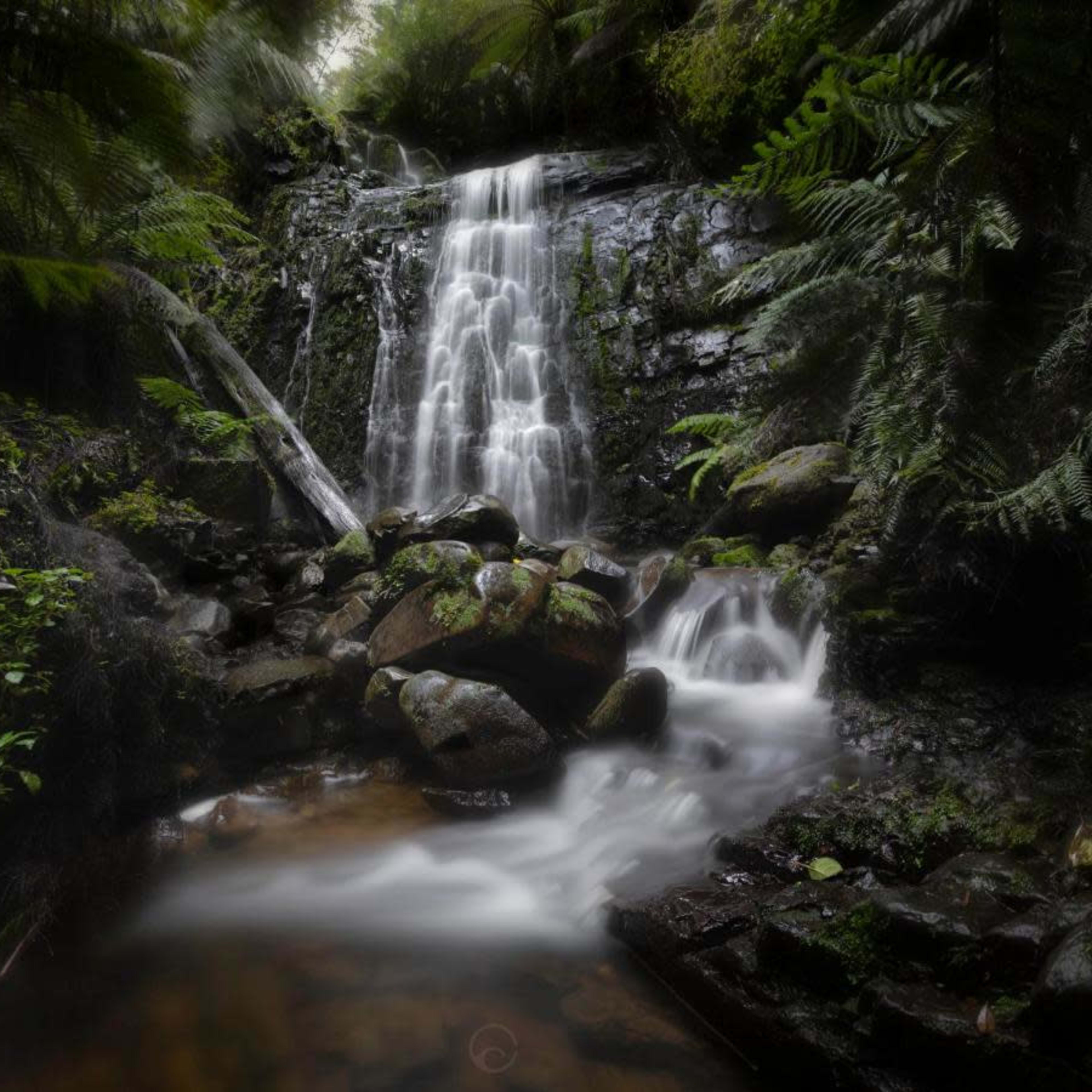 A waterfall cascades over rocks into a serene pool surrounded by lush greenery.