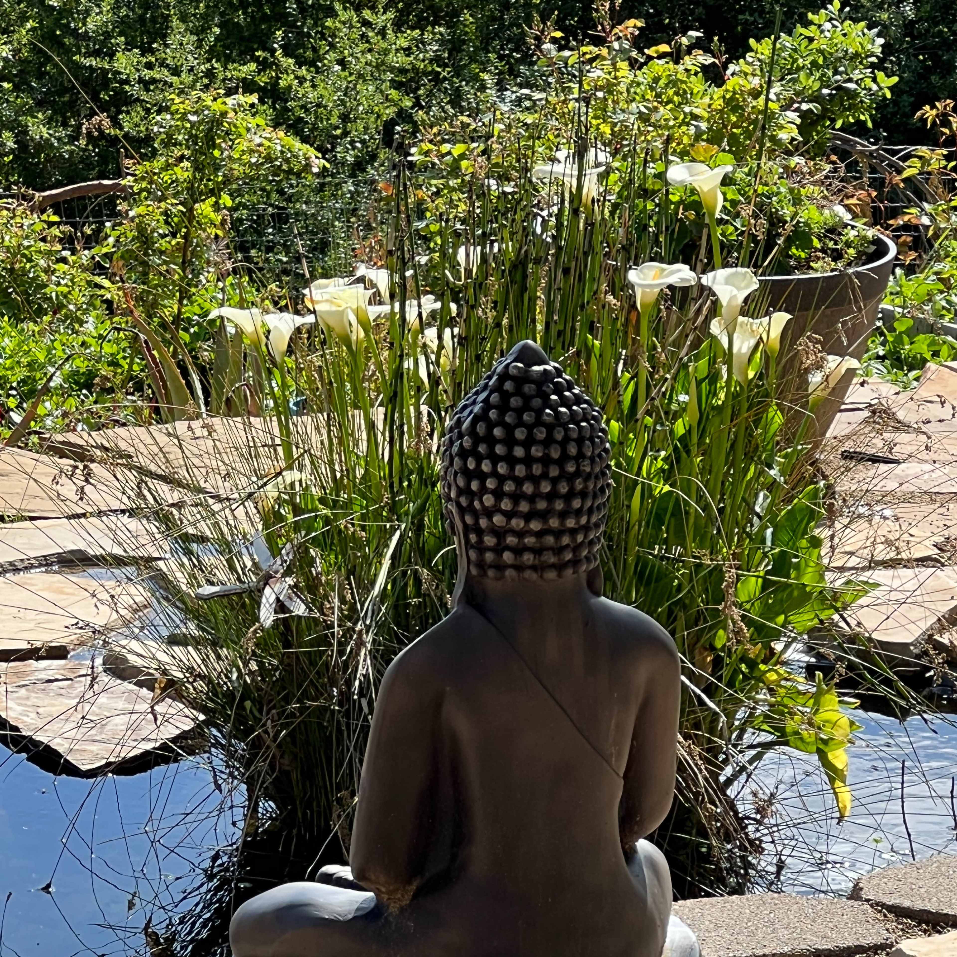 A seated Buddha statue is positioned on a stone surface near a pond surrounded by greenery and white flowers.