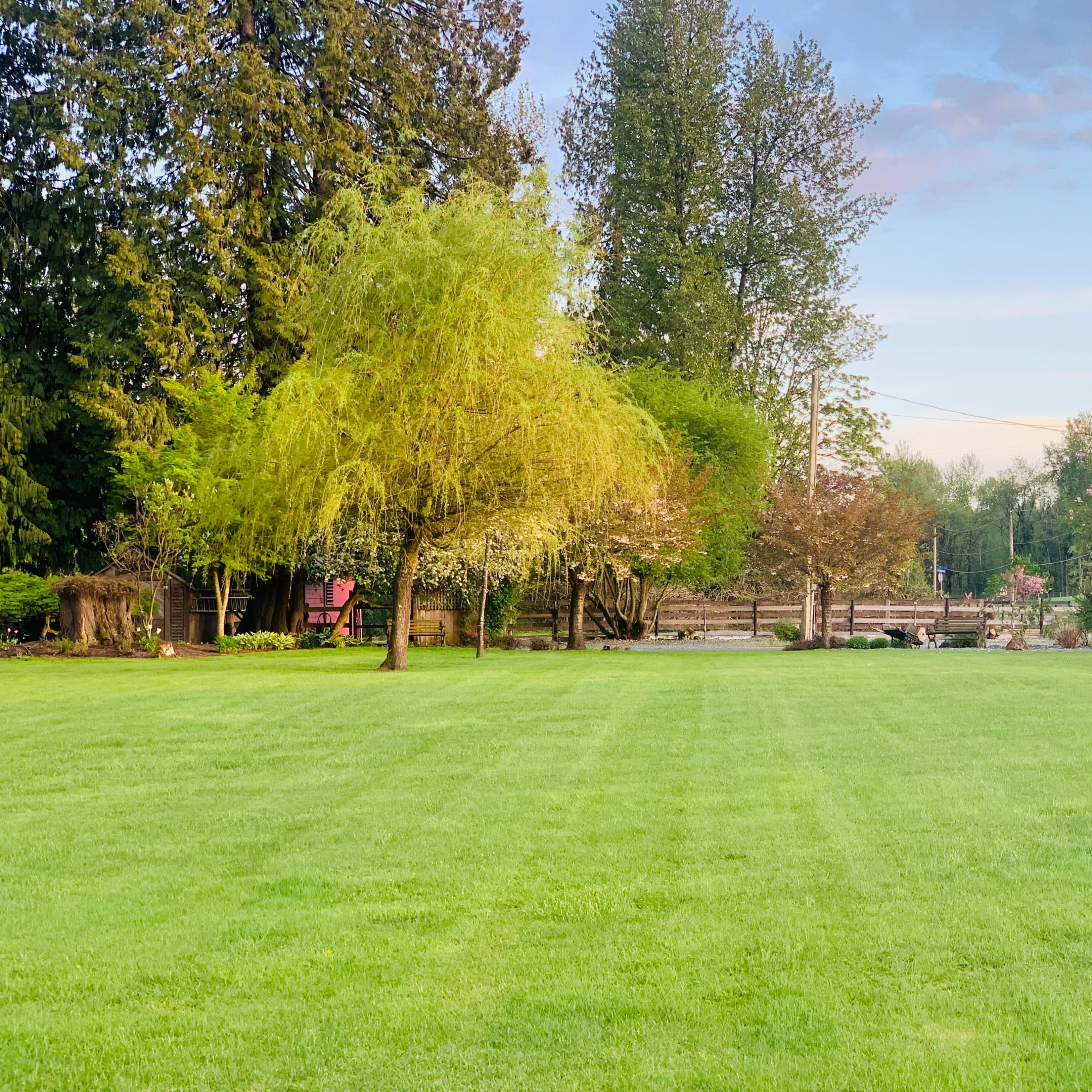 A well-maintained grassy lawn features several trees and shrubs in a peaceful outdoor setting.