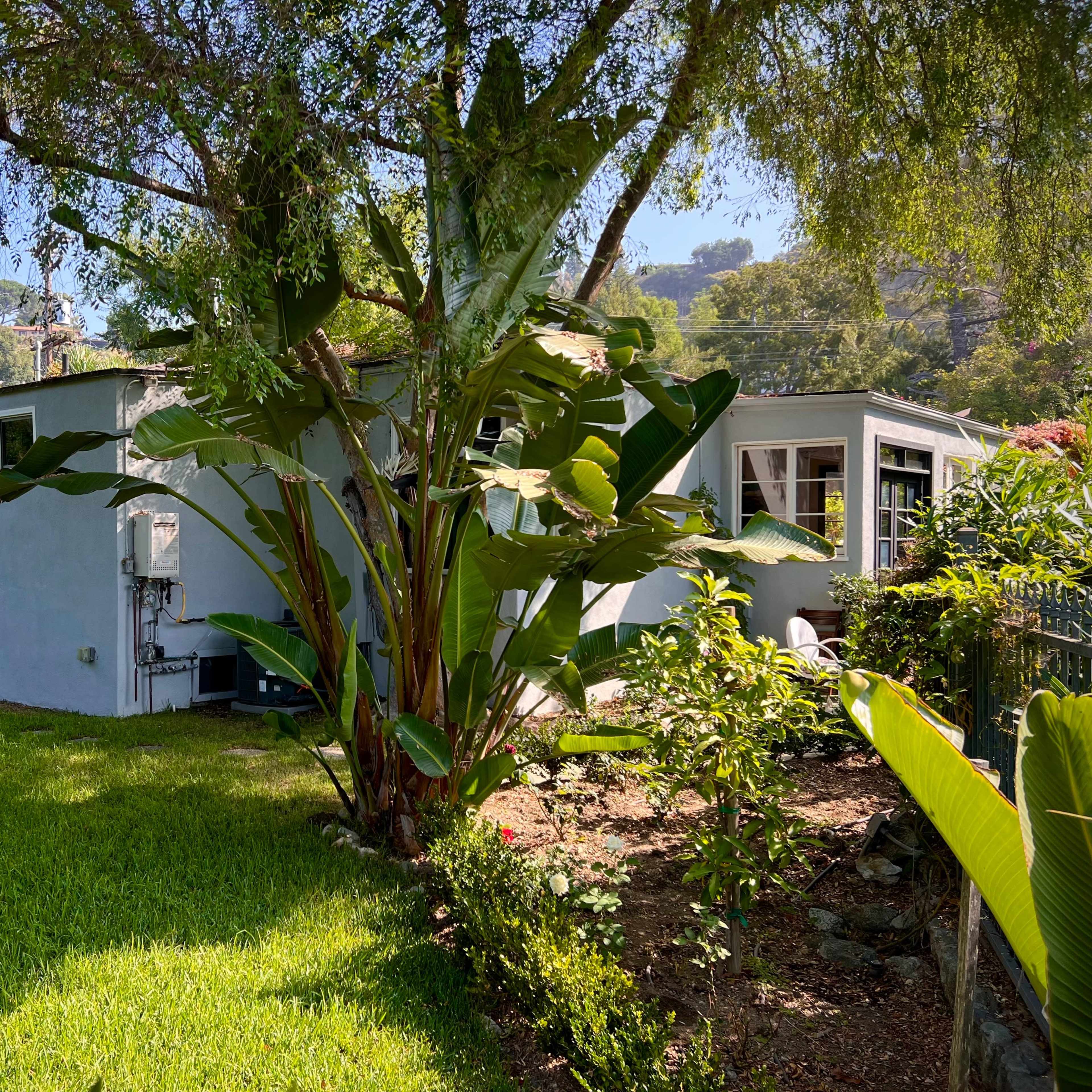 A modest house with a blue exterior is surrounded by lush green grass and tropical plants under a clear sky.