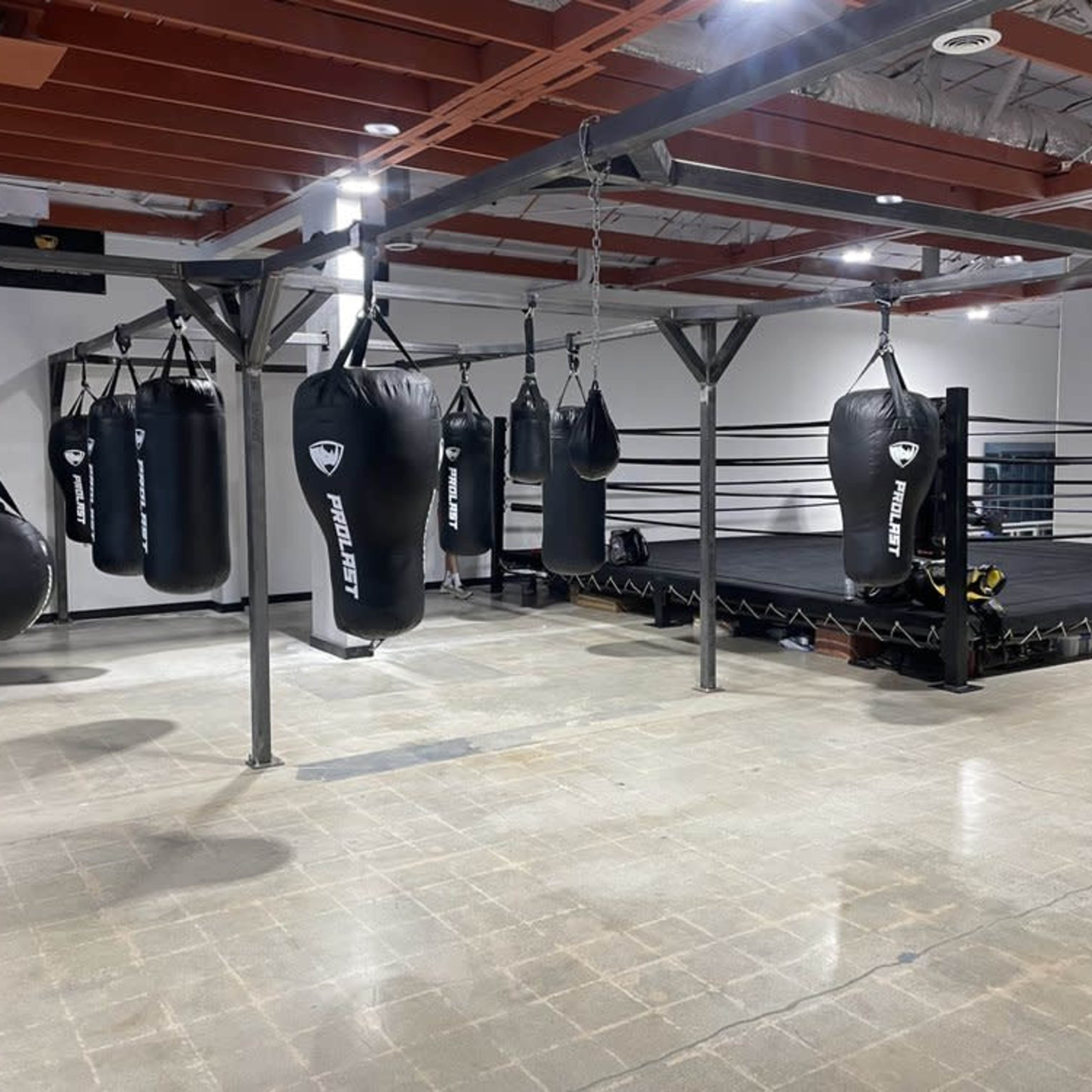 A spacious boxing gym with multiple hanging punching bags and a boxing ring in the center.