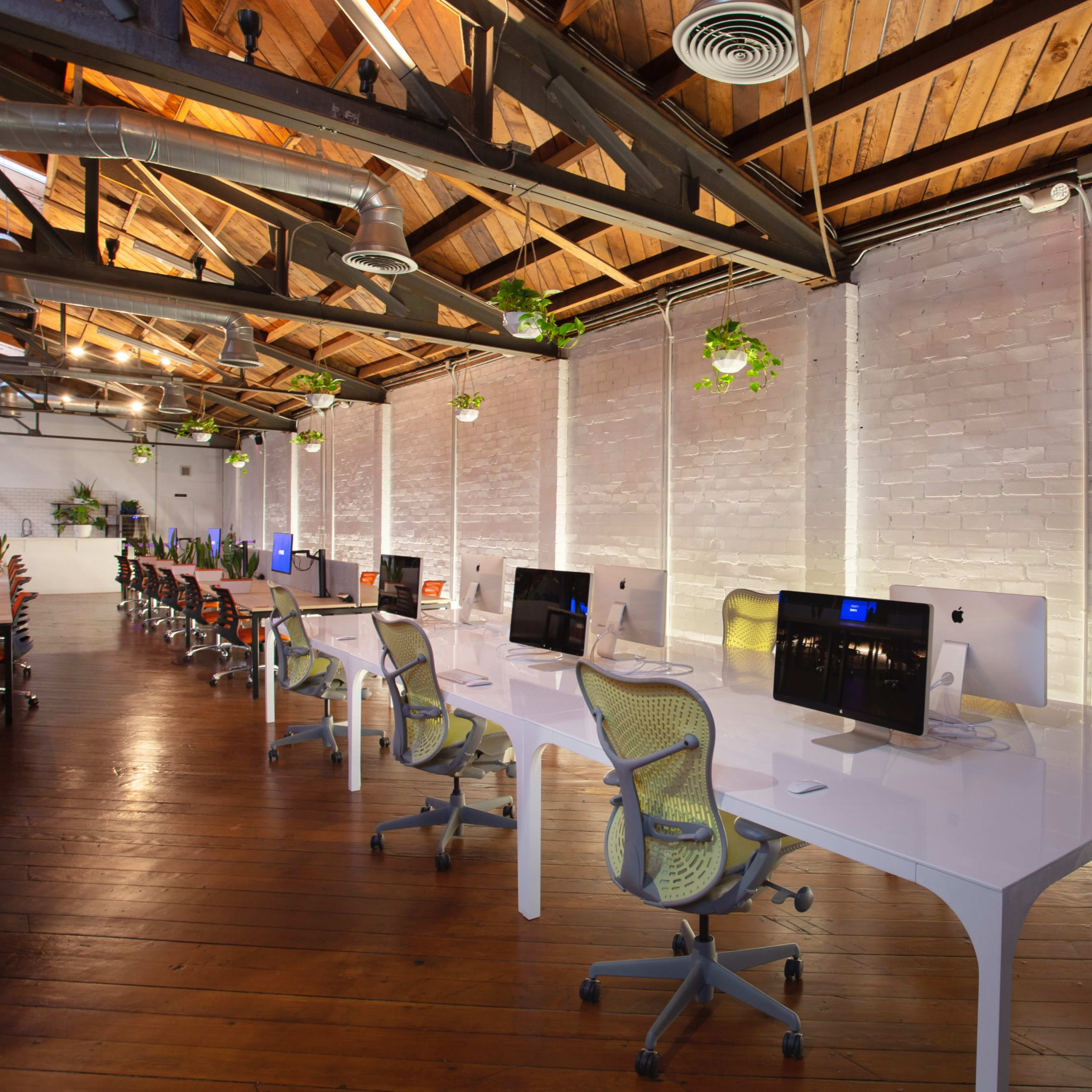 A modern office space with several workstations featuring white desks, computer monitors, and plants hanging from the ceiling.