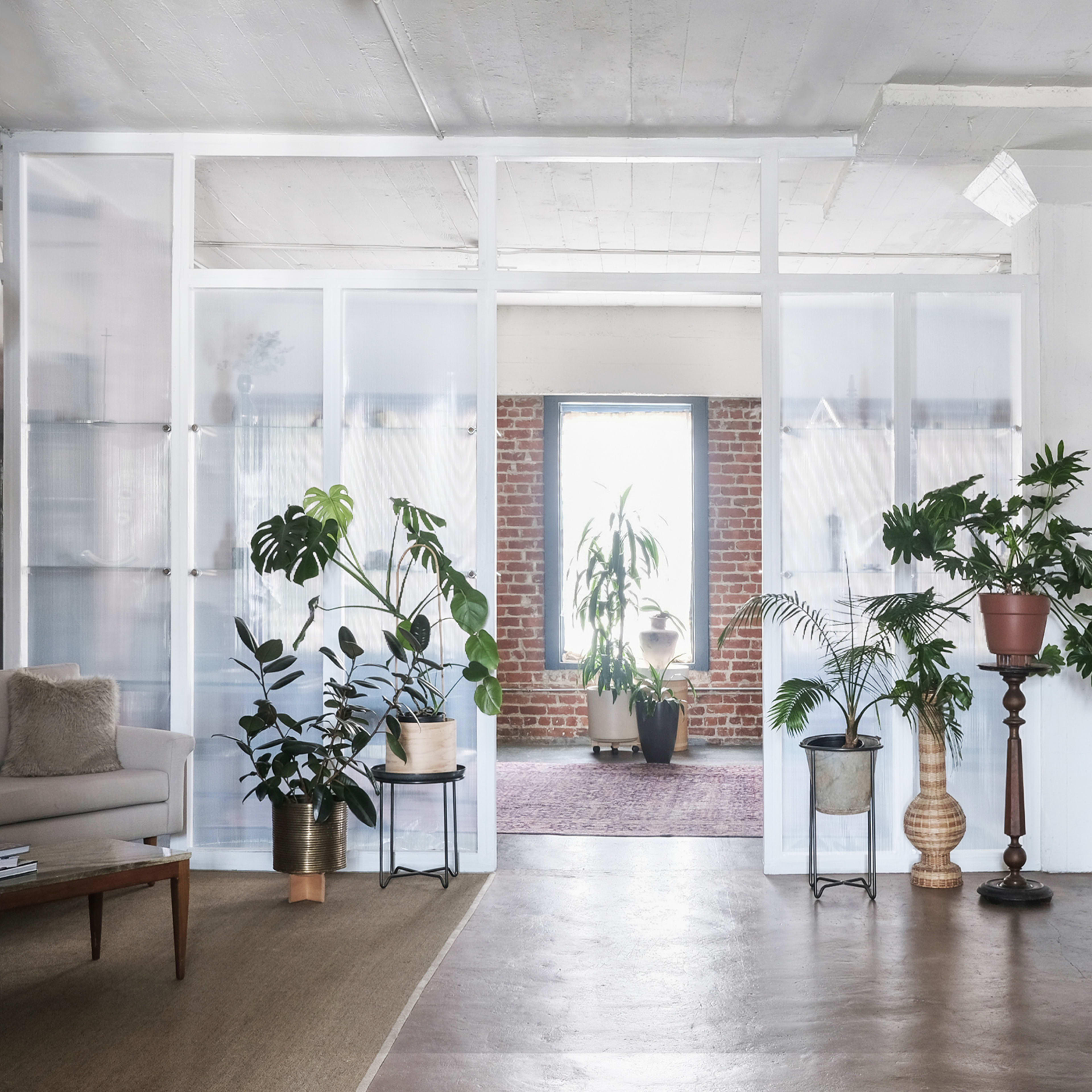 A modern, open-plan interior with large windows, brick walls, and various indoor plants arranged around a minimalist seating area and a wooden table.