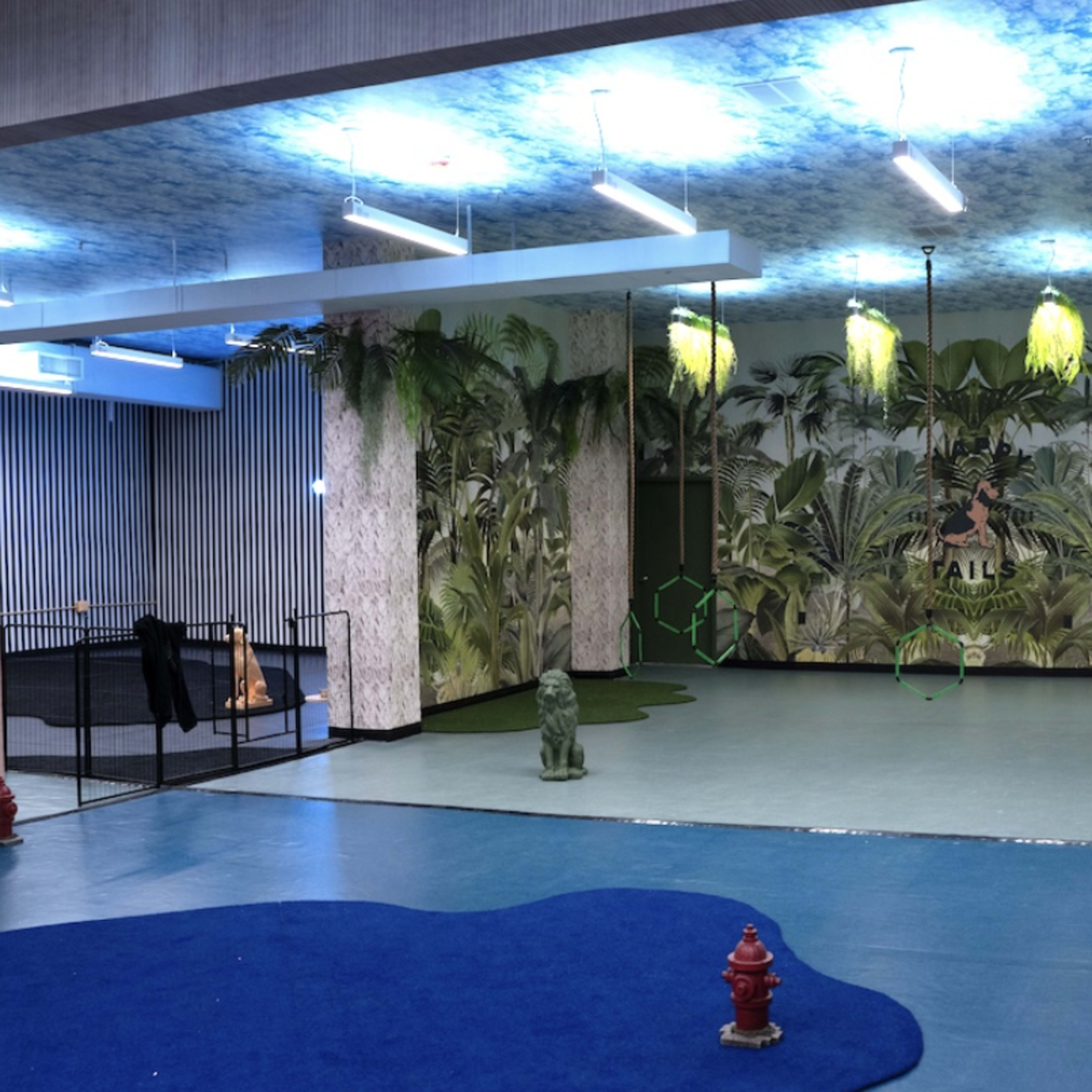 Tribeca Event Space for Dogs & Humans Image in New York, New York, NY