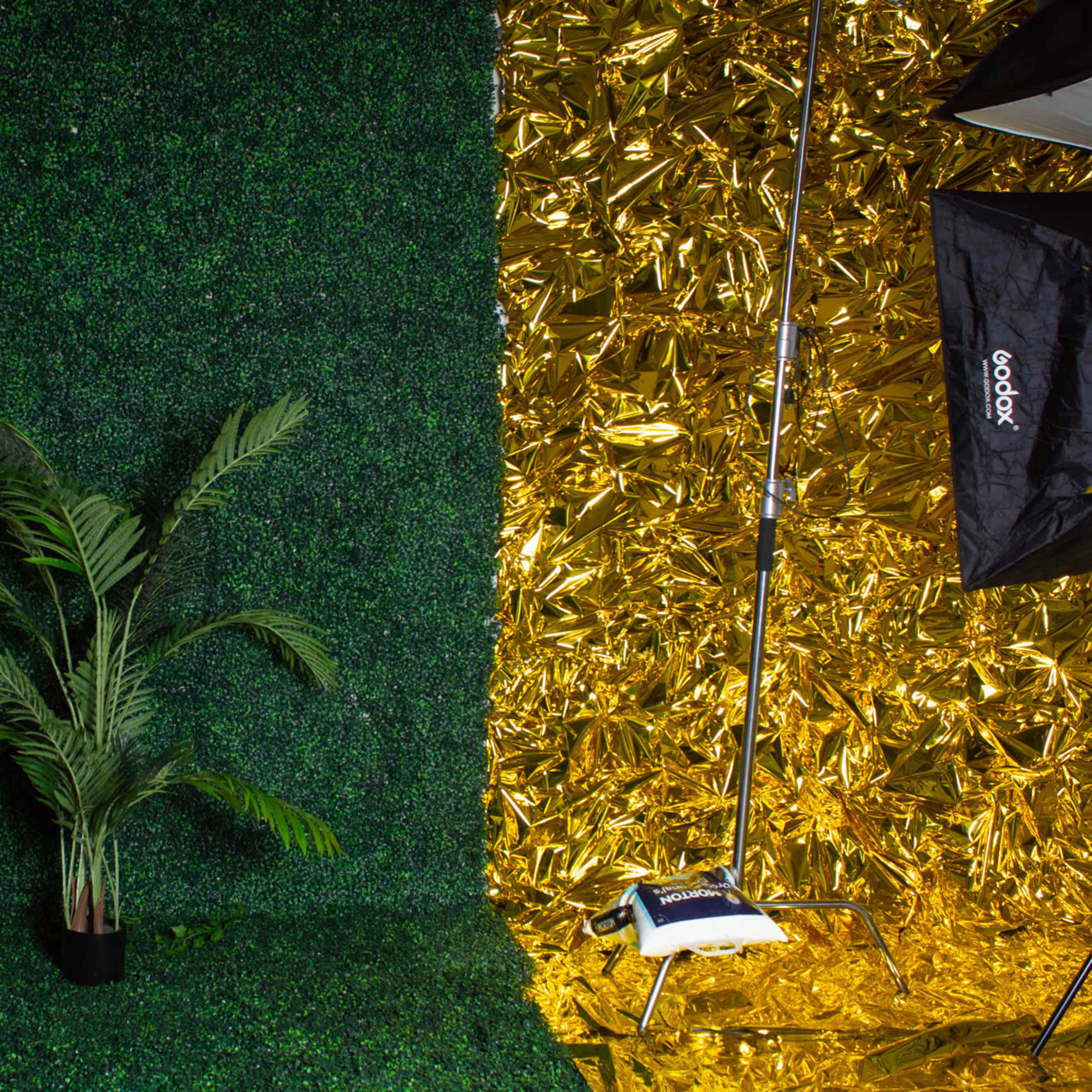 A studio setup with artificial greenery on one side and a glimmering gold backdrop on the other, accompanied by a photography light and a mirror displaying plants.