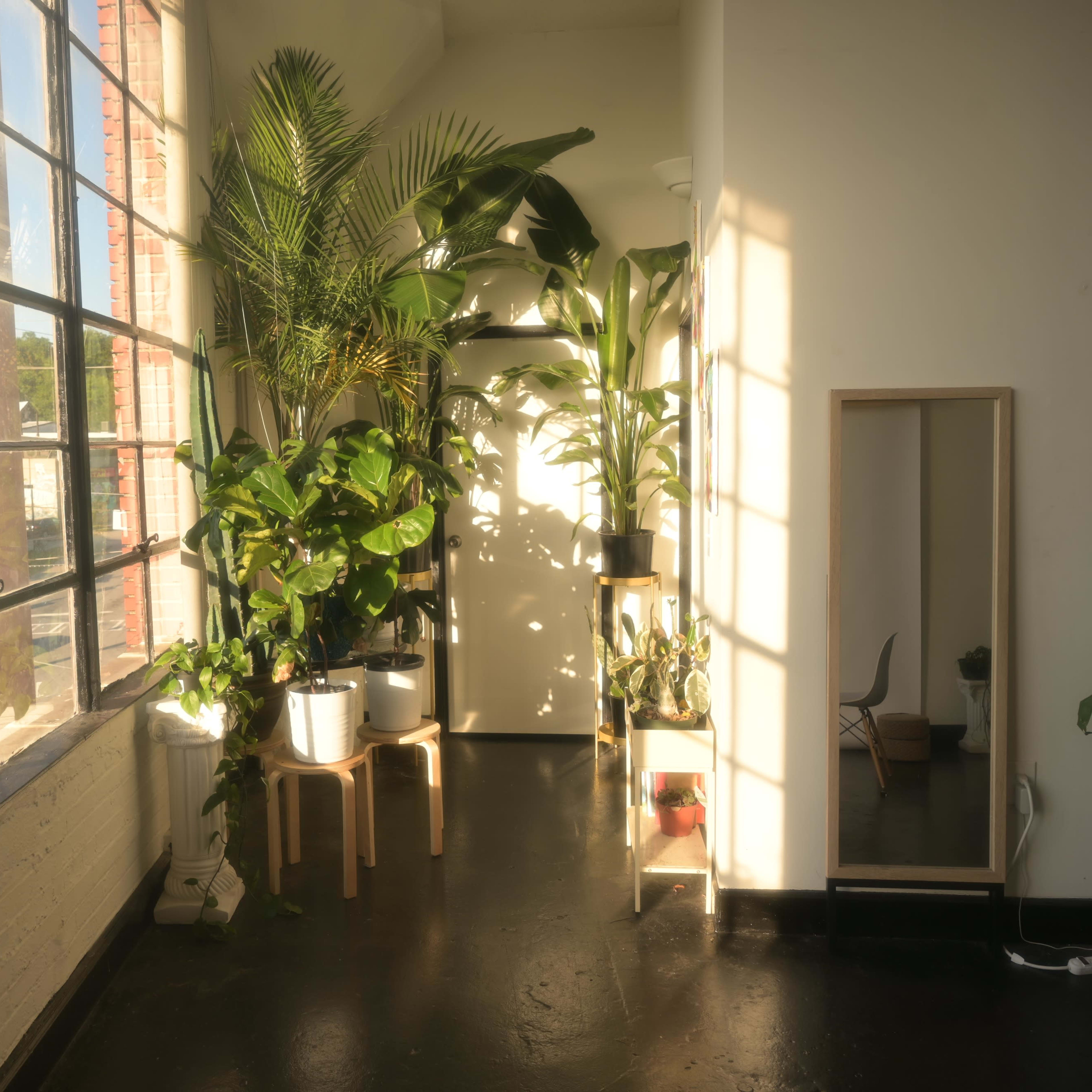 A sunlit interior features large plants, a mirror, and a doorway, with a wall of windows providing natural light.