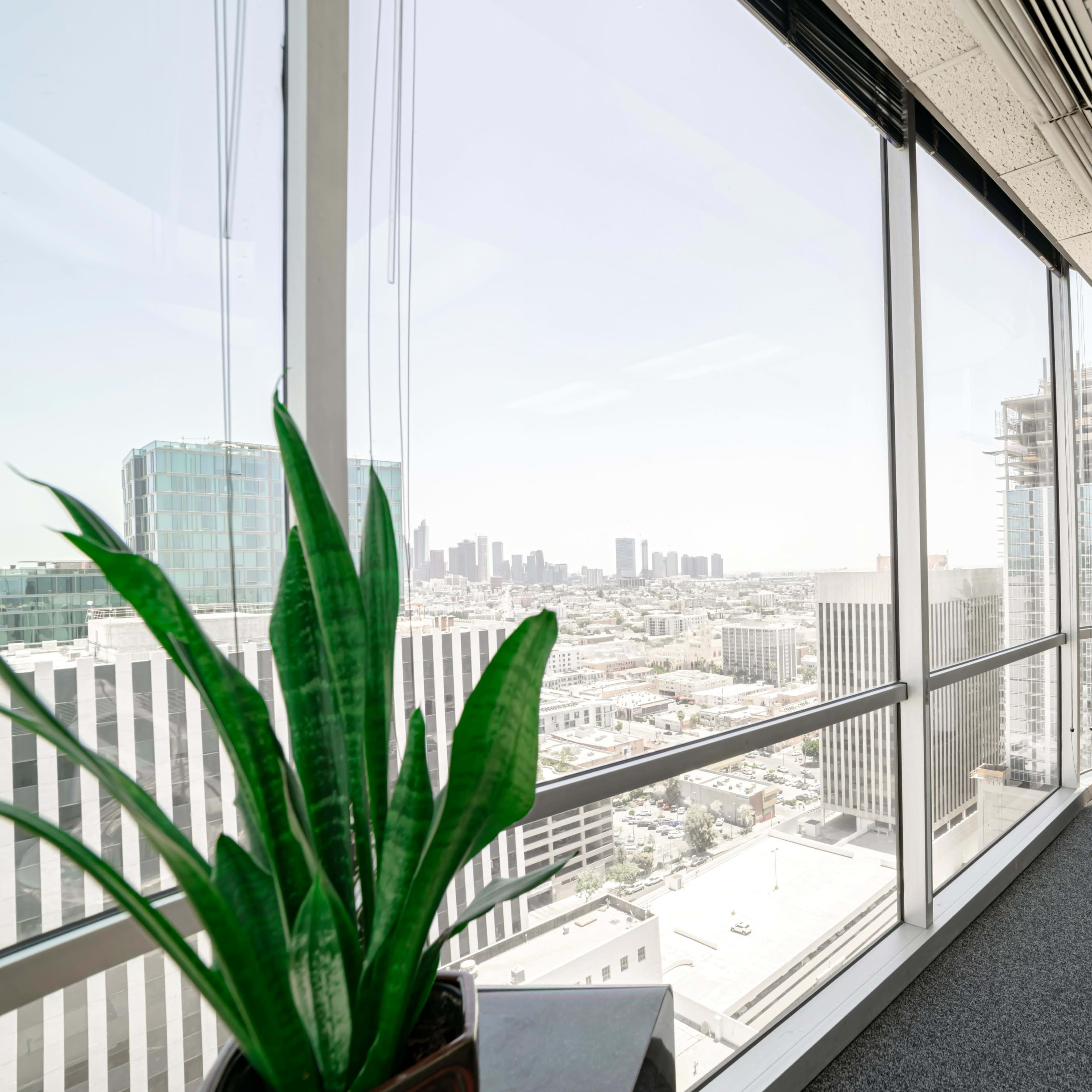 A high-rise office space with large windows overlooking a city skyline, featuring potted plants in the corners.