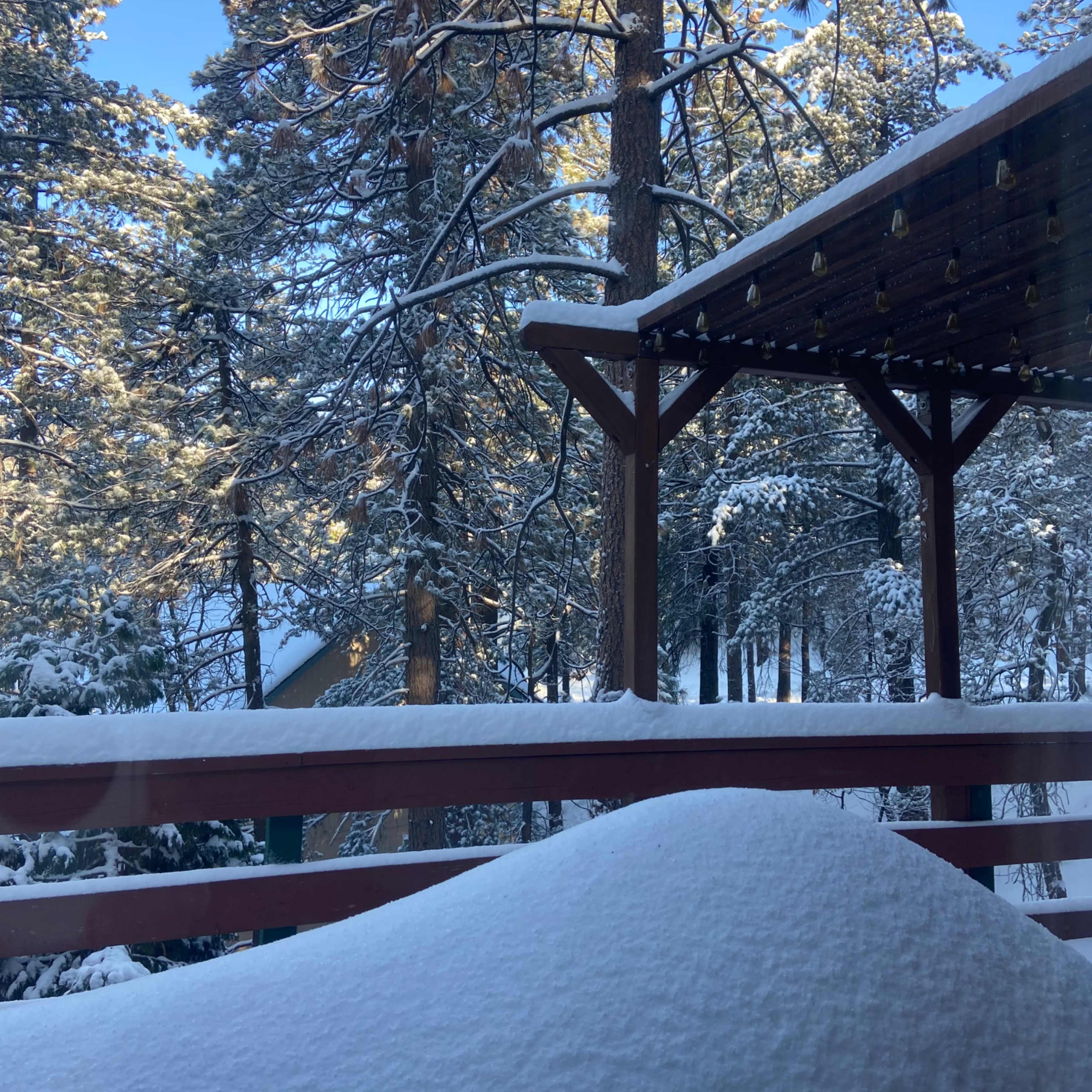 A snowy landscape framed by a wooden railing and pine trees under a clear blue sky.