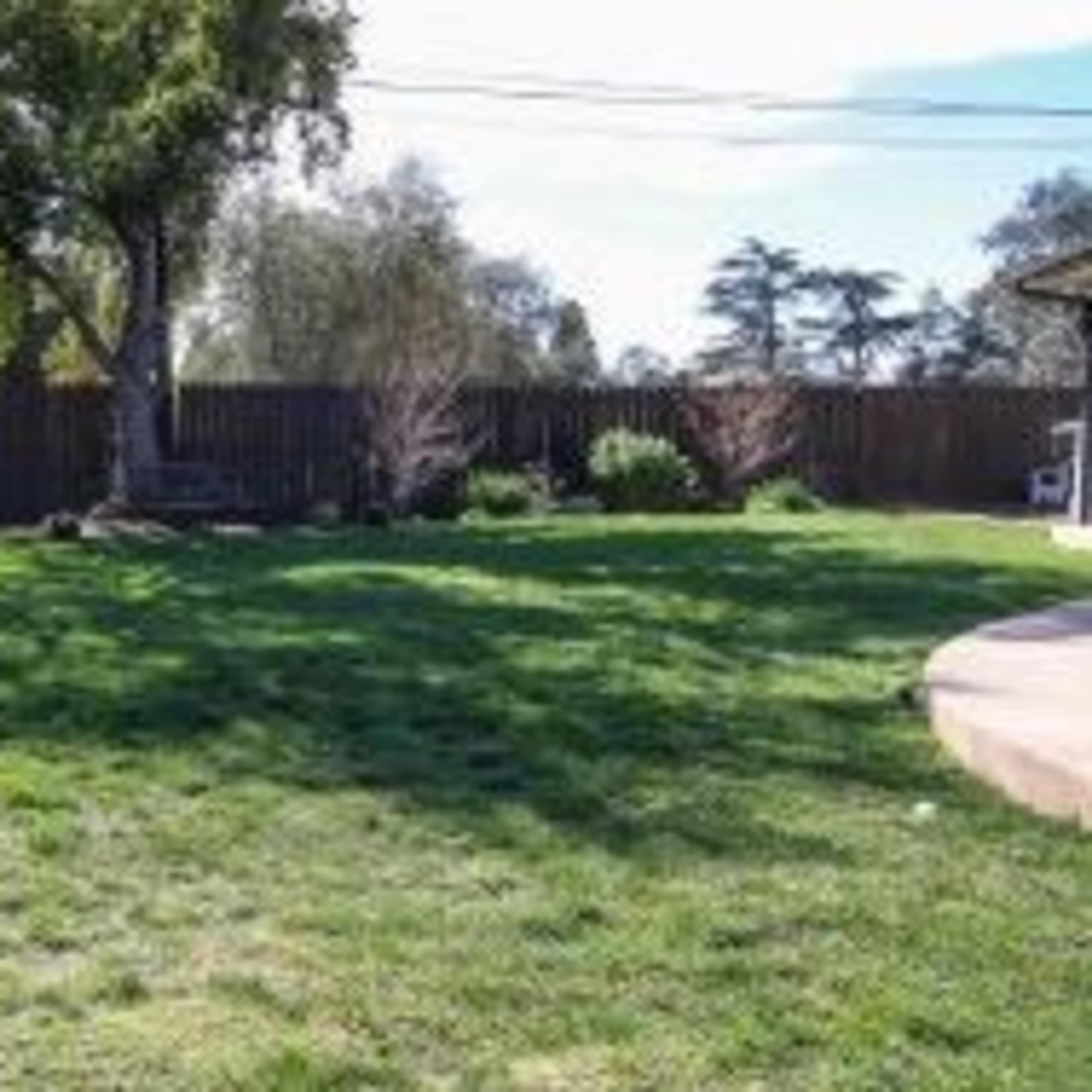 A grassy backyard featuring a playground structure with a slide on the left and scattered trees in the background.